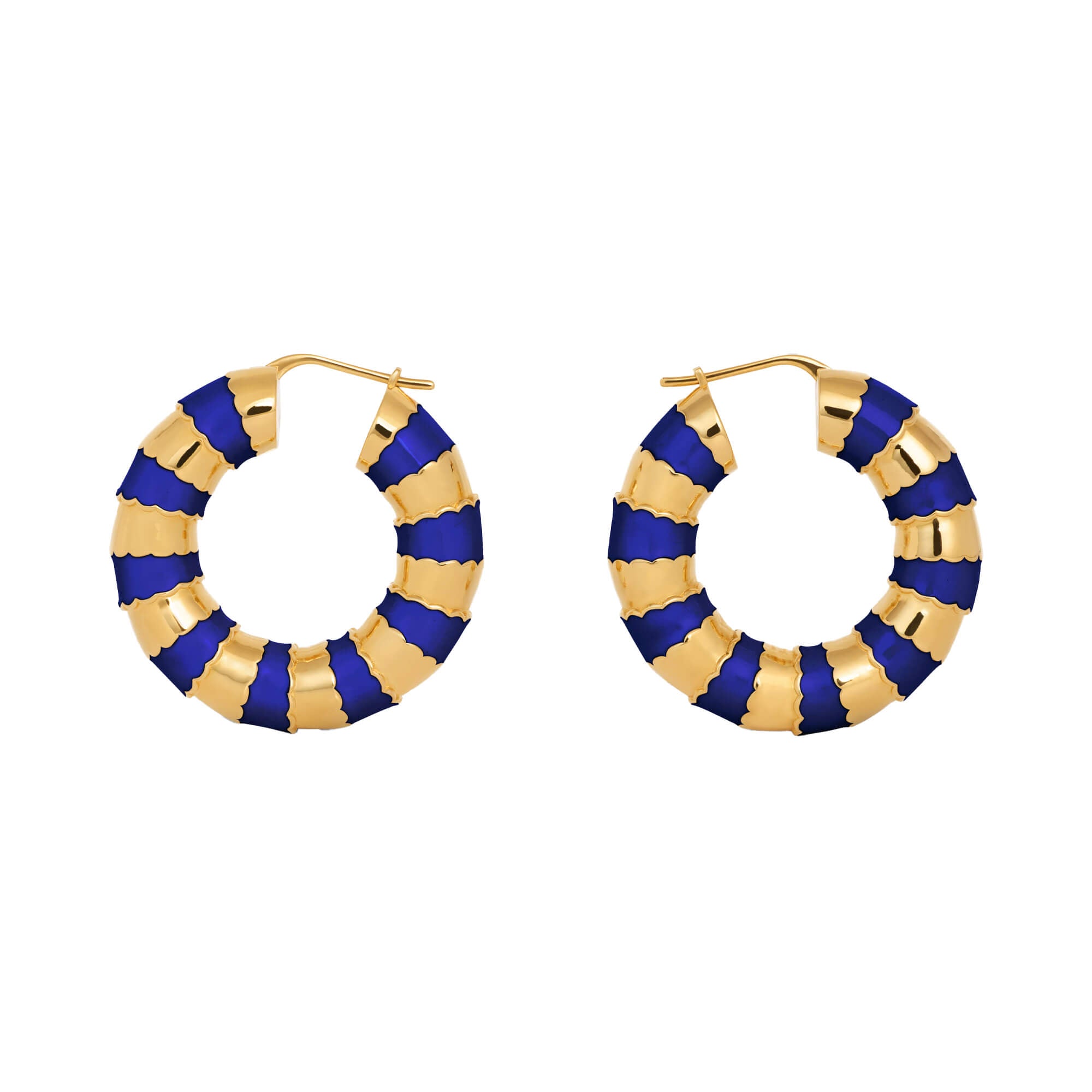 Celine Frosted Hoop Earrings