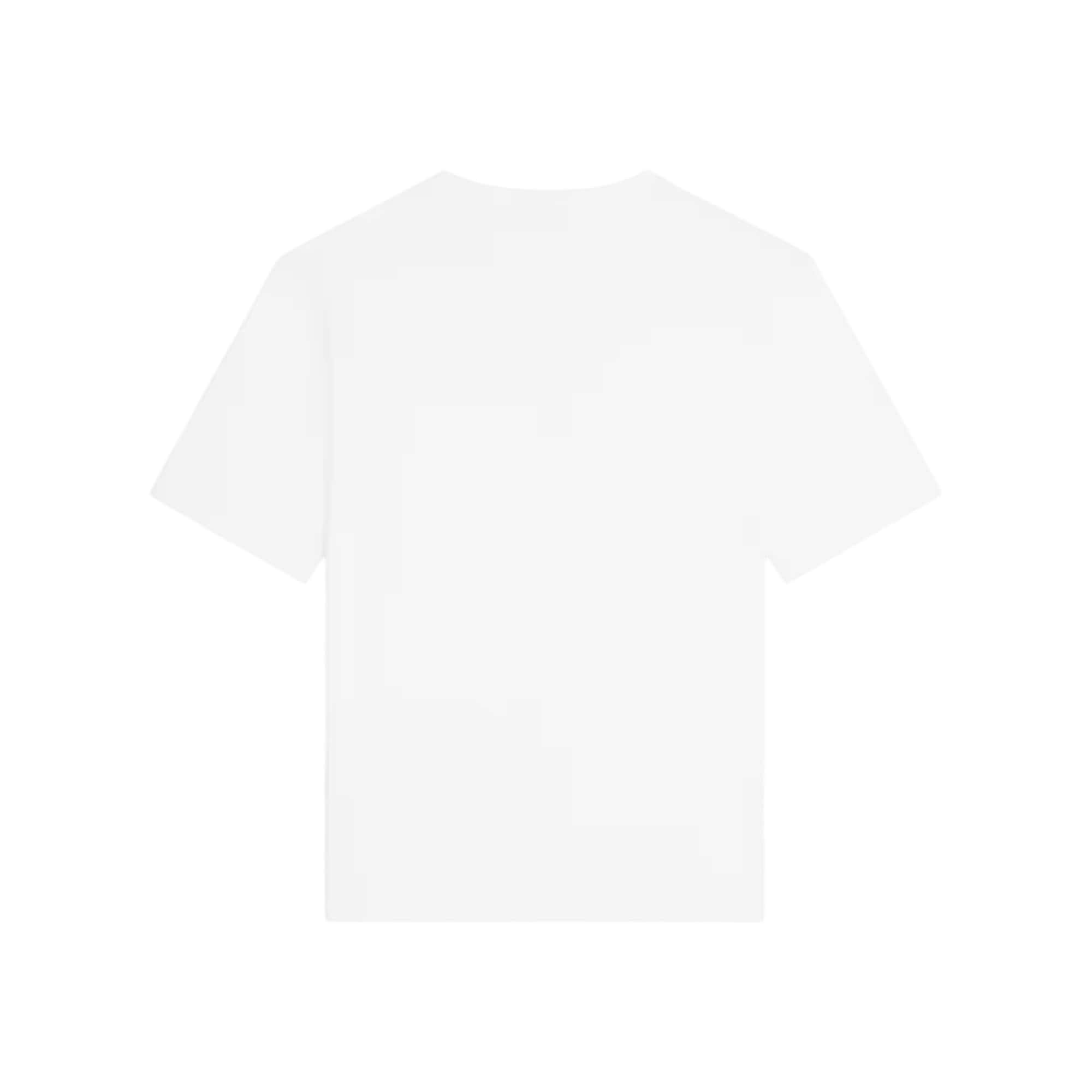 Celine Loose T Shirt
