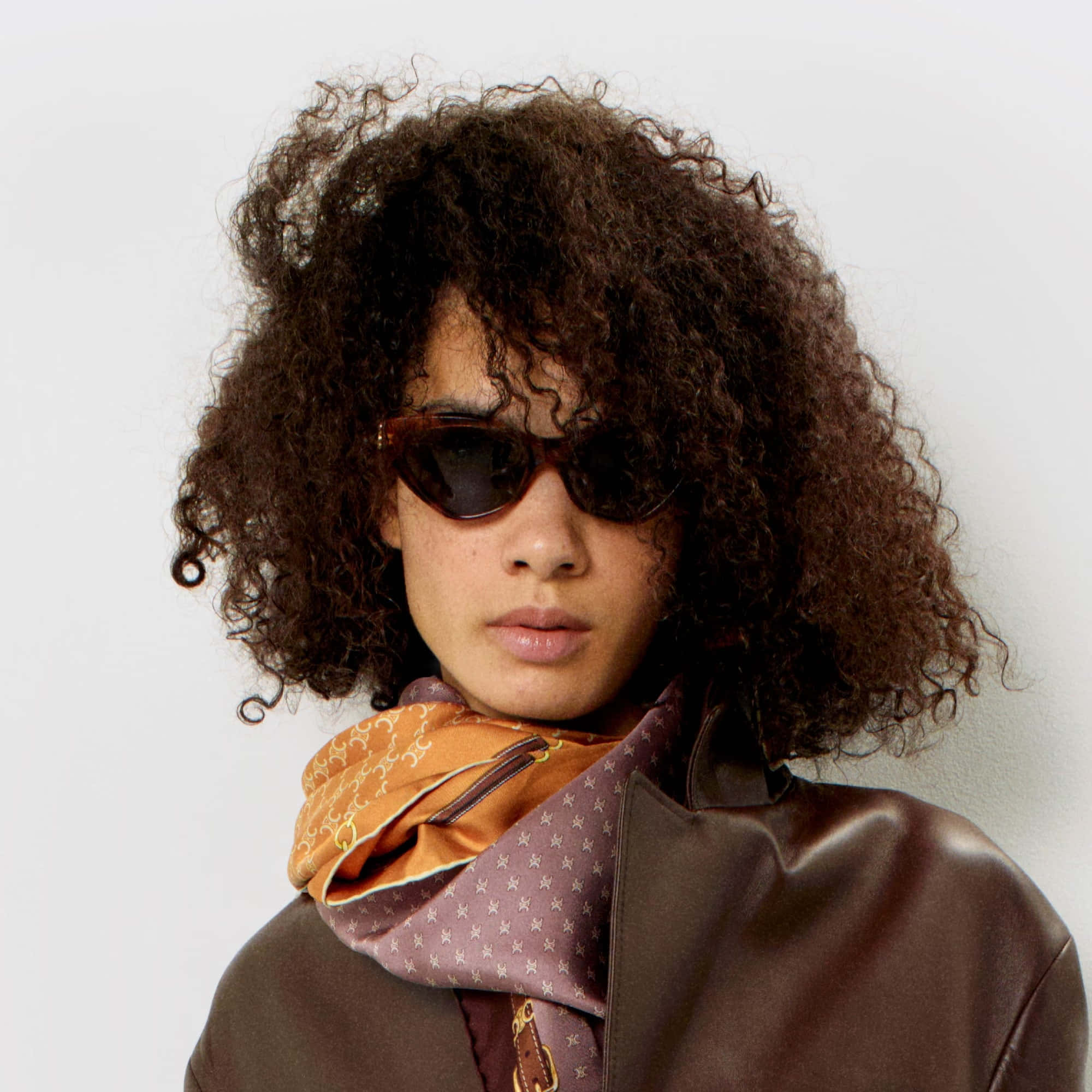 Celine Triomphe 17 Sunglasses