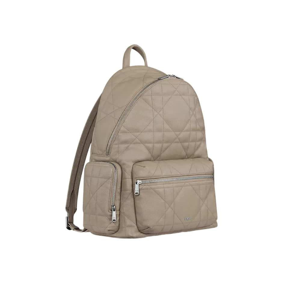 Dior Backpack