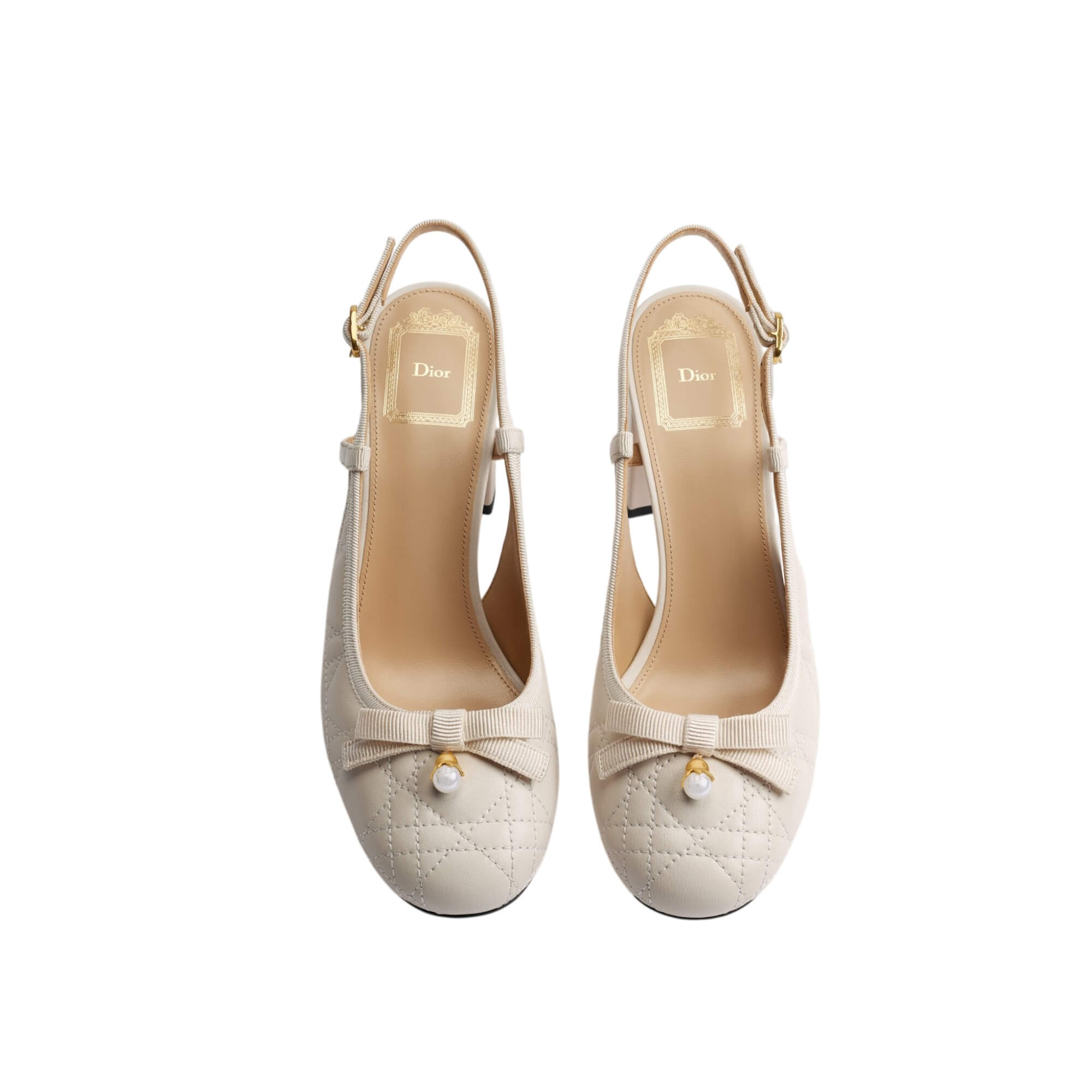 Dior Ballet Slingback Pump