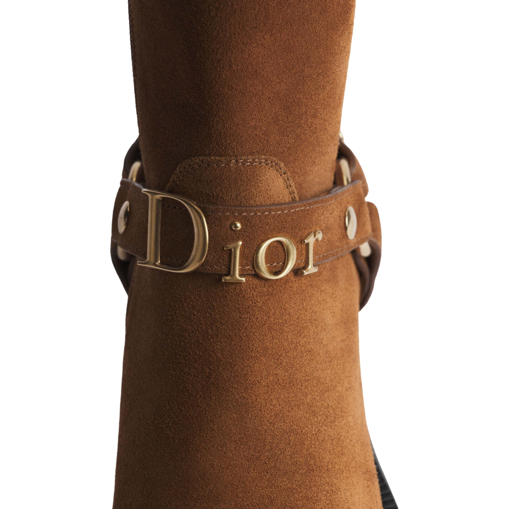 Dior Bolt Ankle Boot