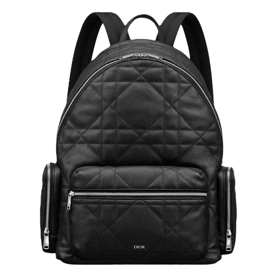 Dior Backpack