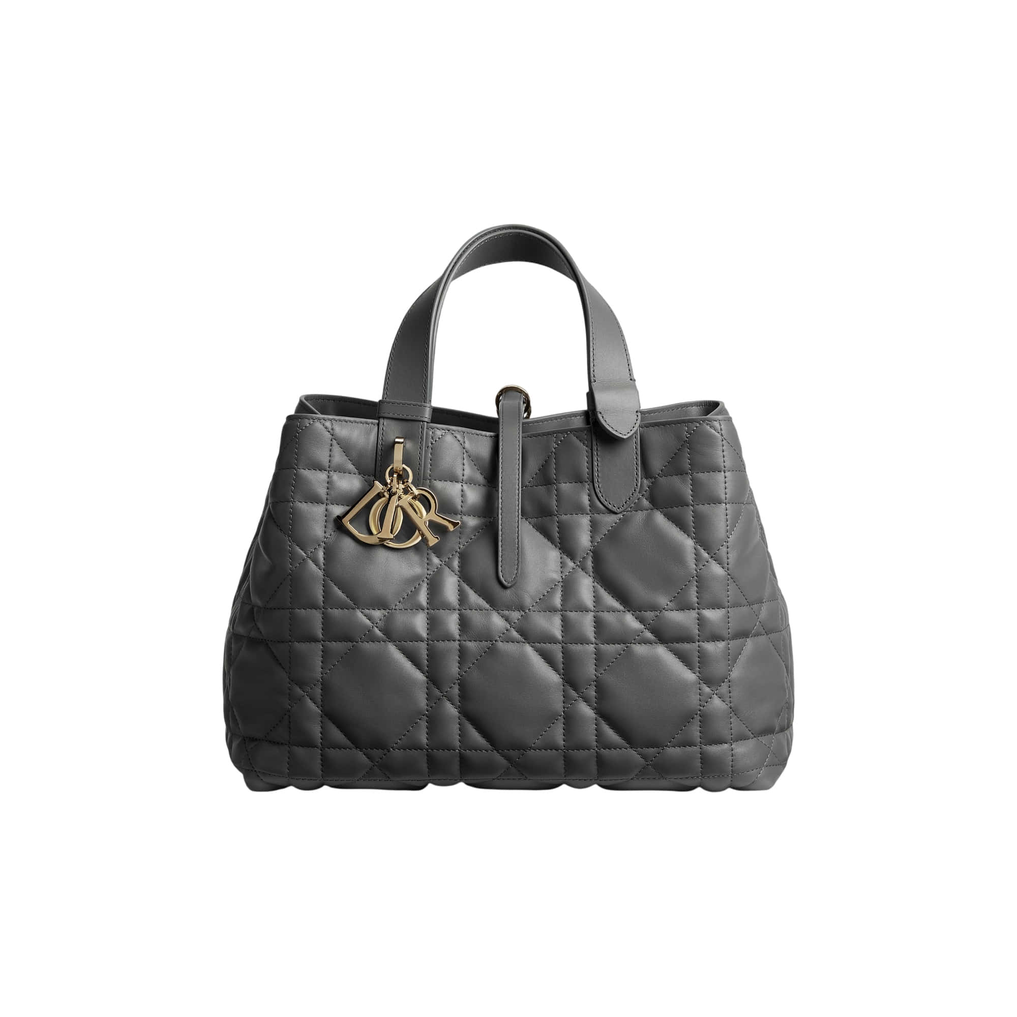Dior Toujours Medium Bag