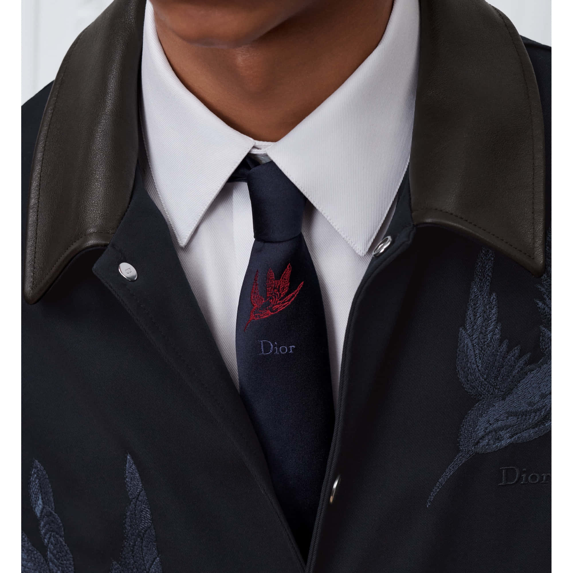 Dior Hummingbird Tie
