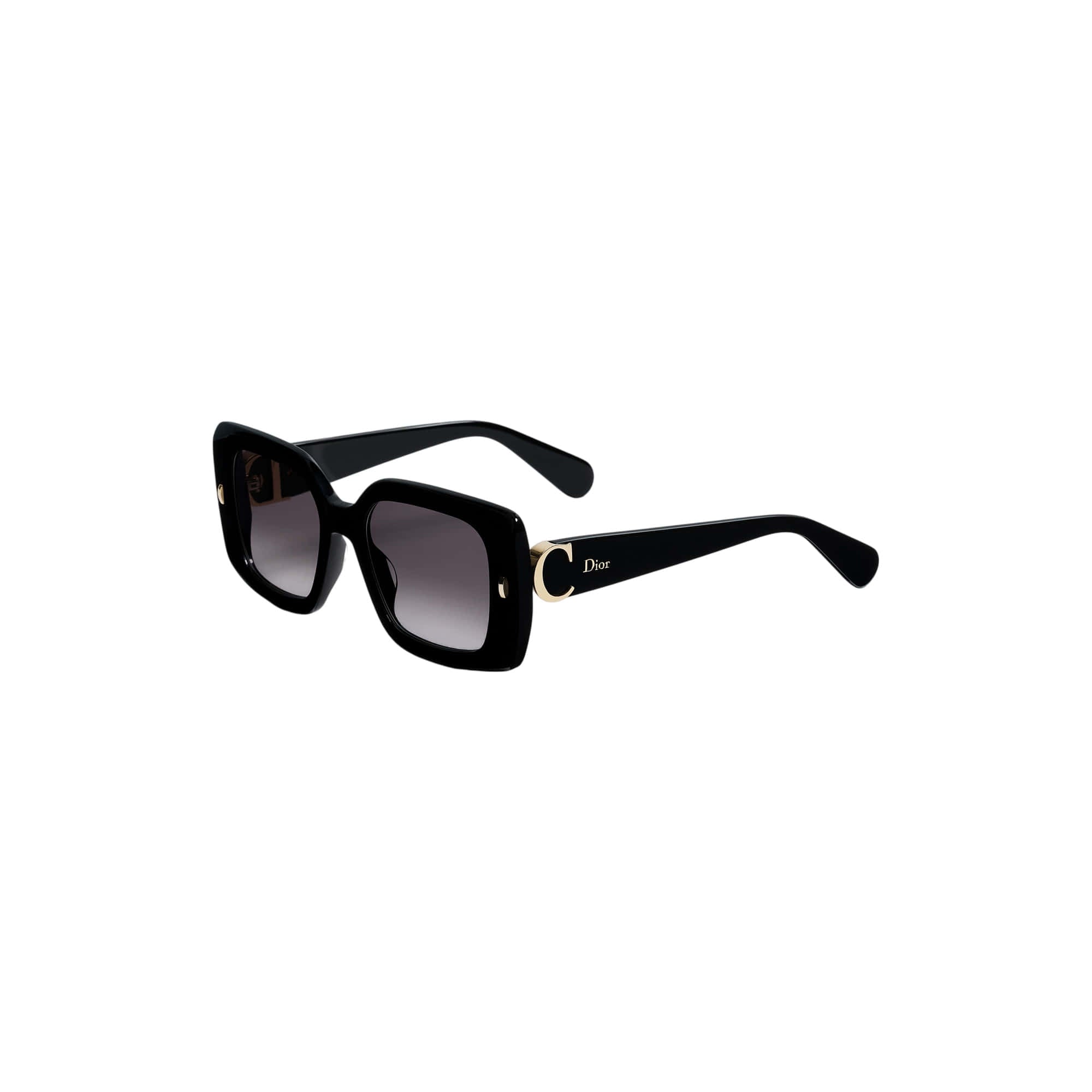 Dior Initials S2I Sunglasses