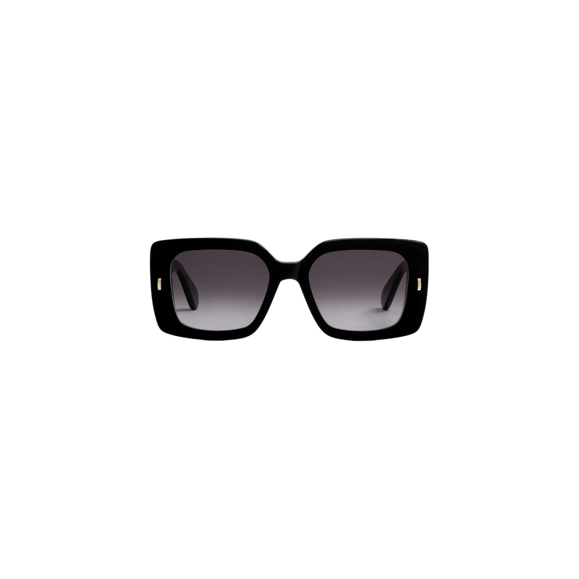 Dior Initials S2I Sunglasses