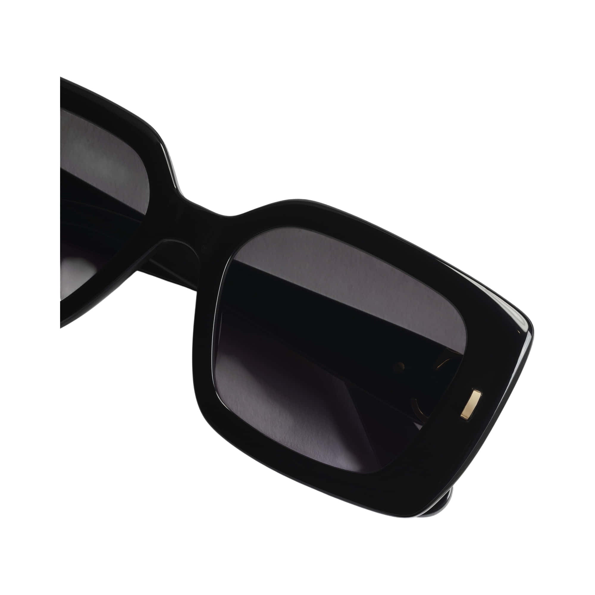 Dior Initials S2I Sunglasses