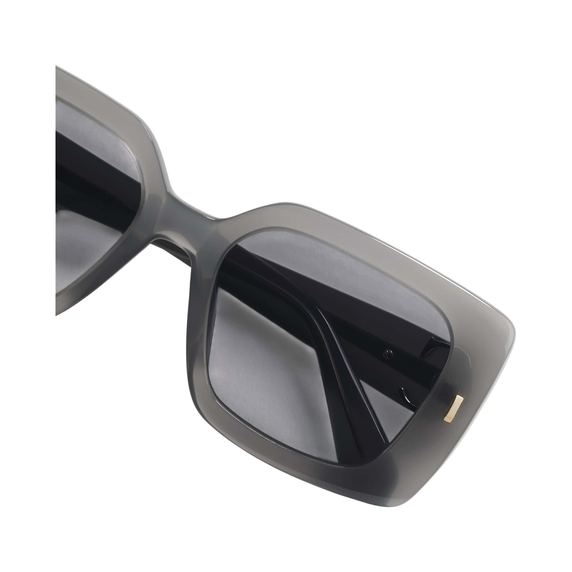 Dior Initials S2I Sunglasses
