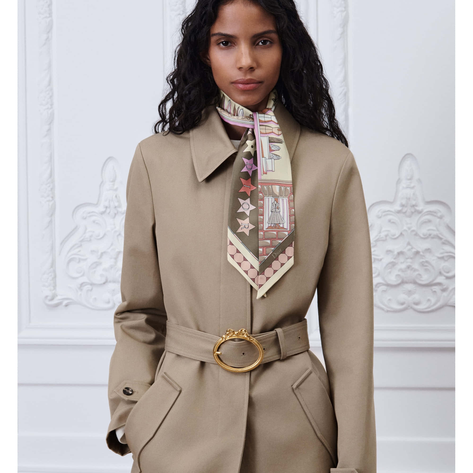 Dior Inside Dior Avenue Mitzah Scarf