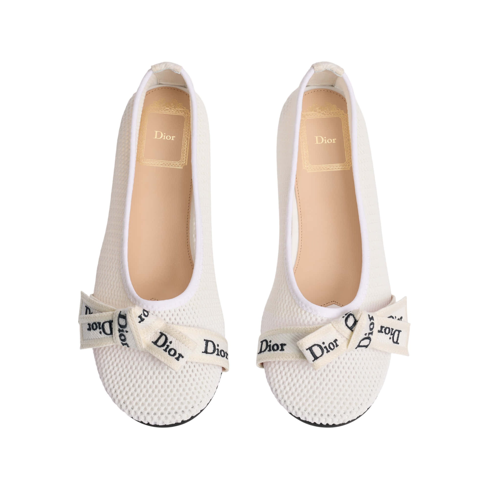 Dior J'adior Ballet Flat