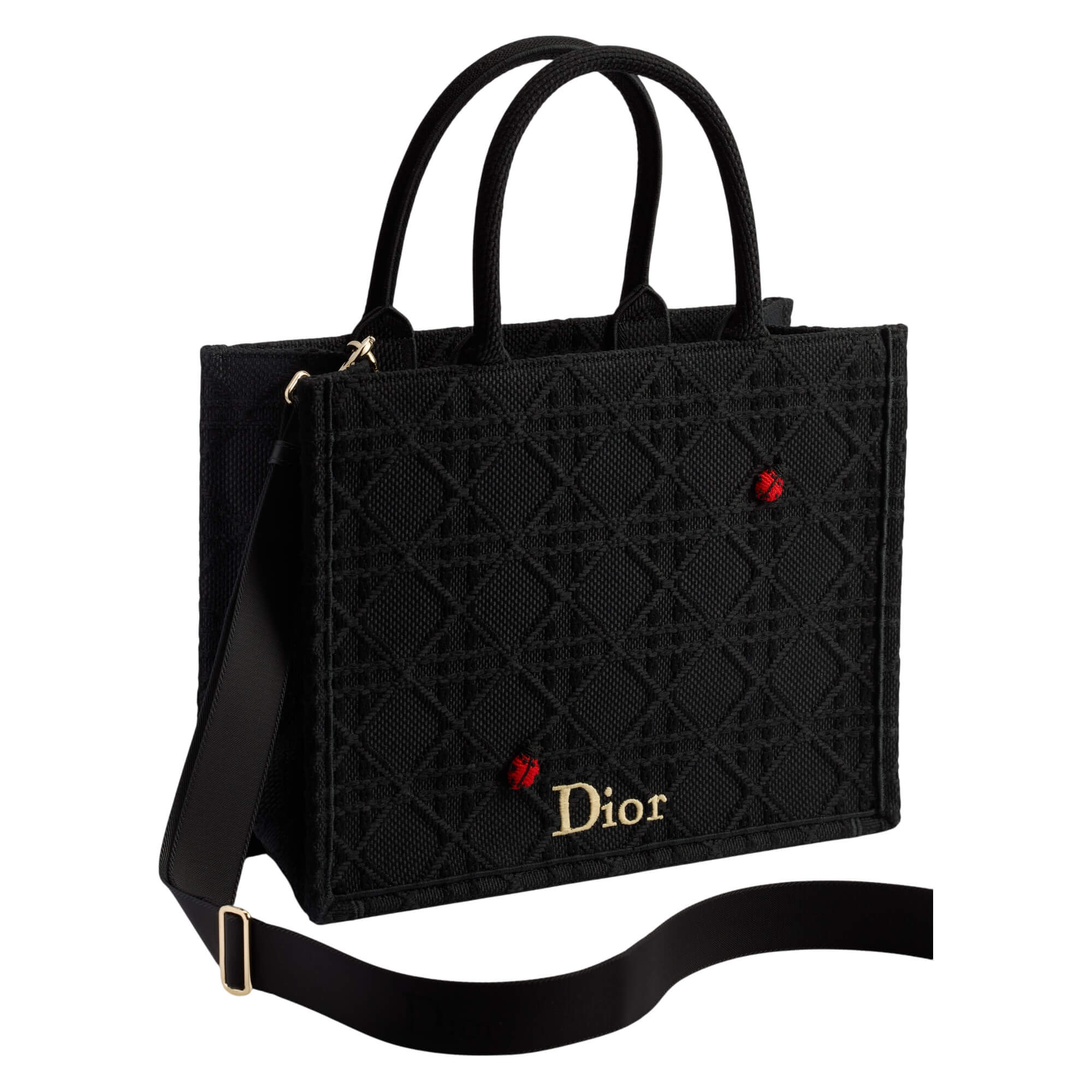 Dior Medium Book Tote