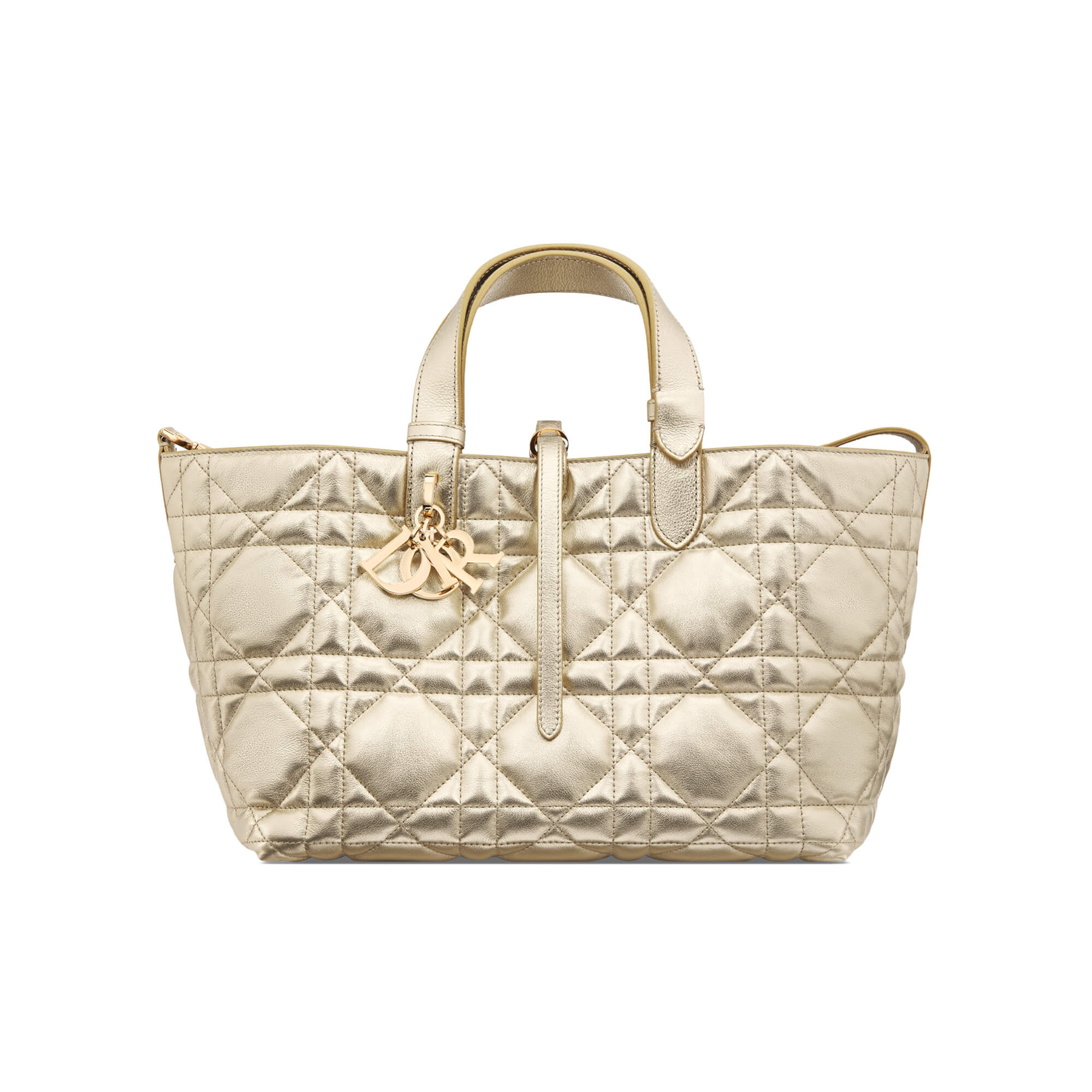 Dior Medium Dior Toujours Bag