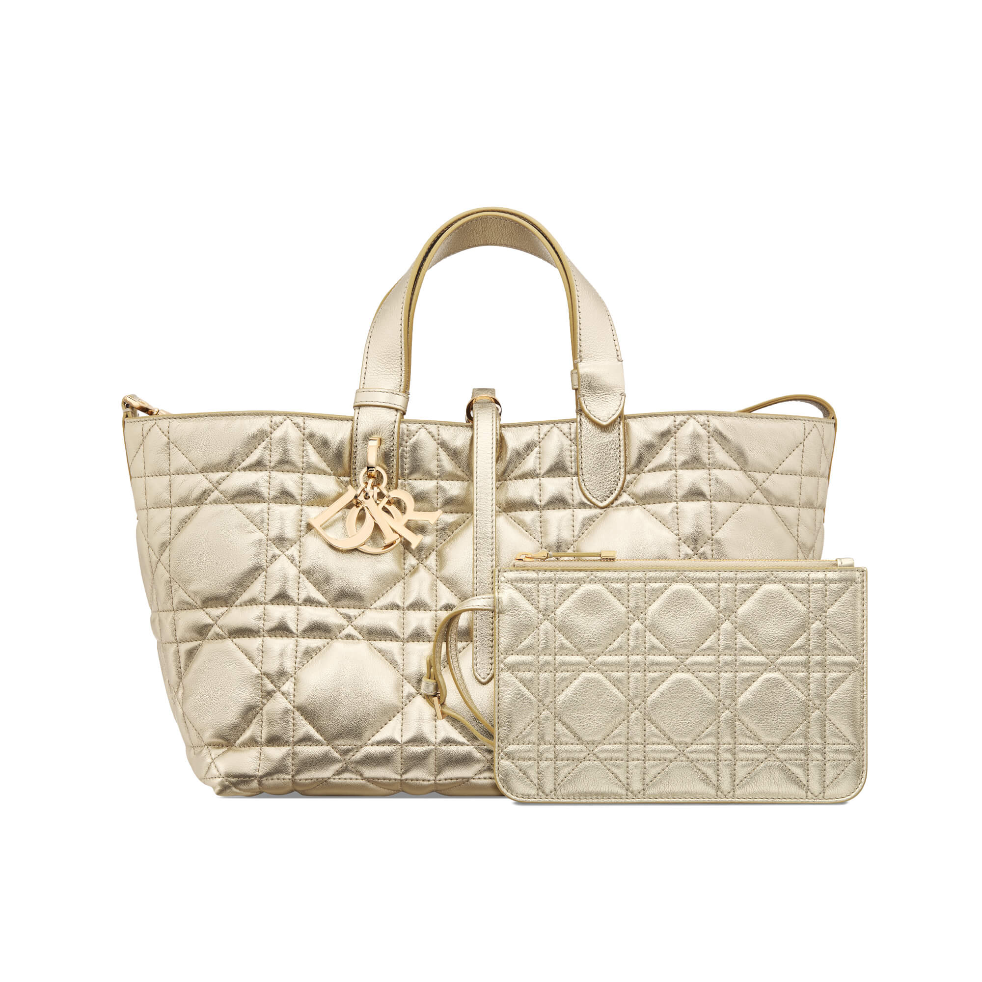 Dior Medium Dior Toujours Bag