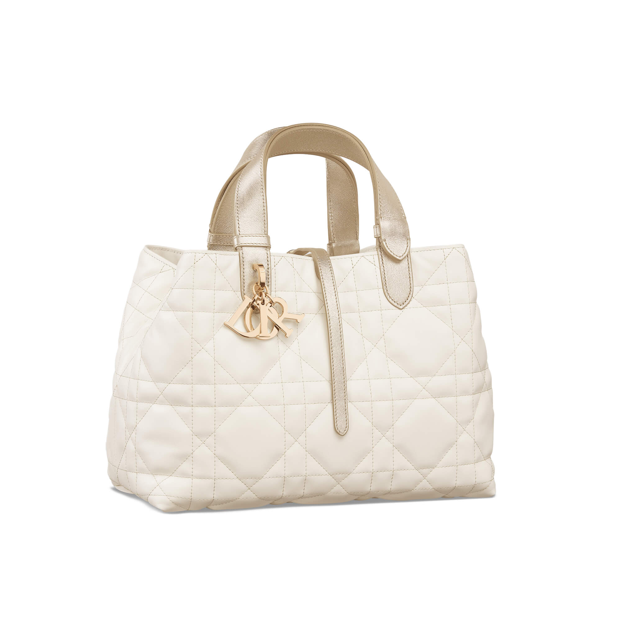 Dior Medium Dior Toujours Bag