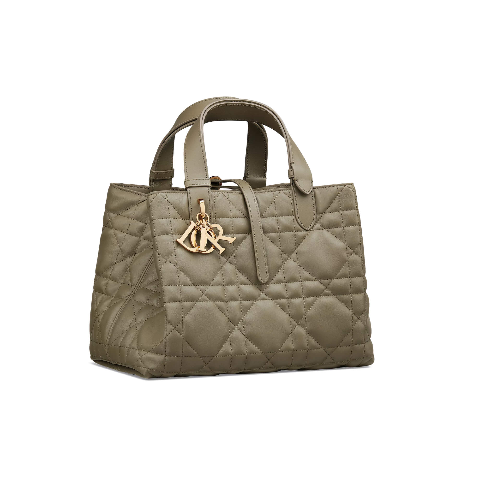 Dior Medium Dior Toujours Bag