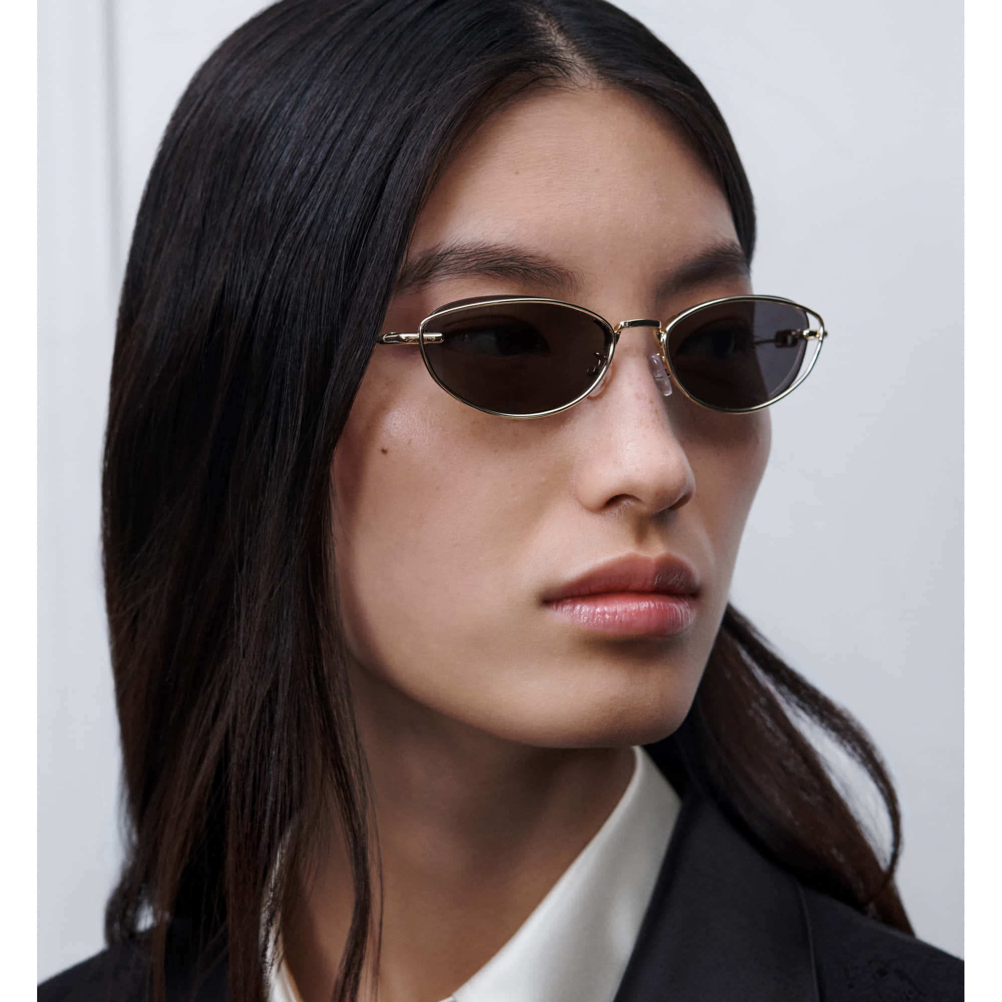 Dior Petit CD B1U Sunglass