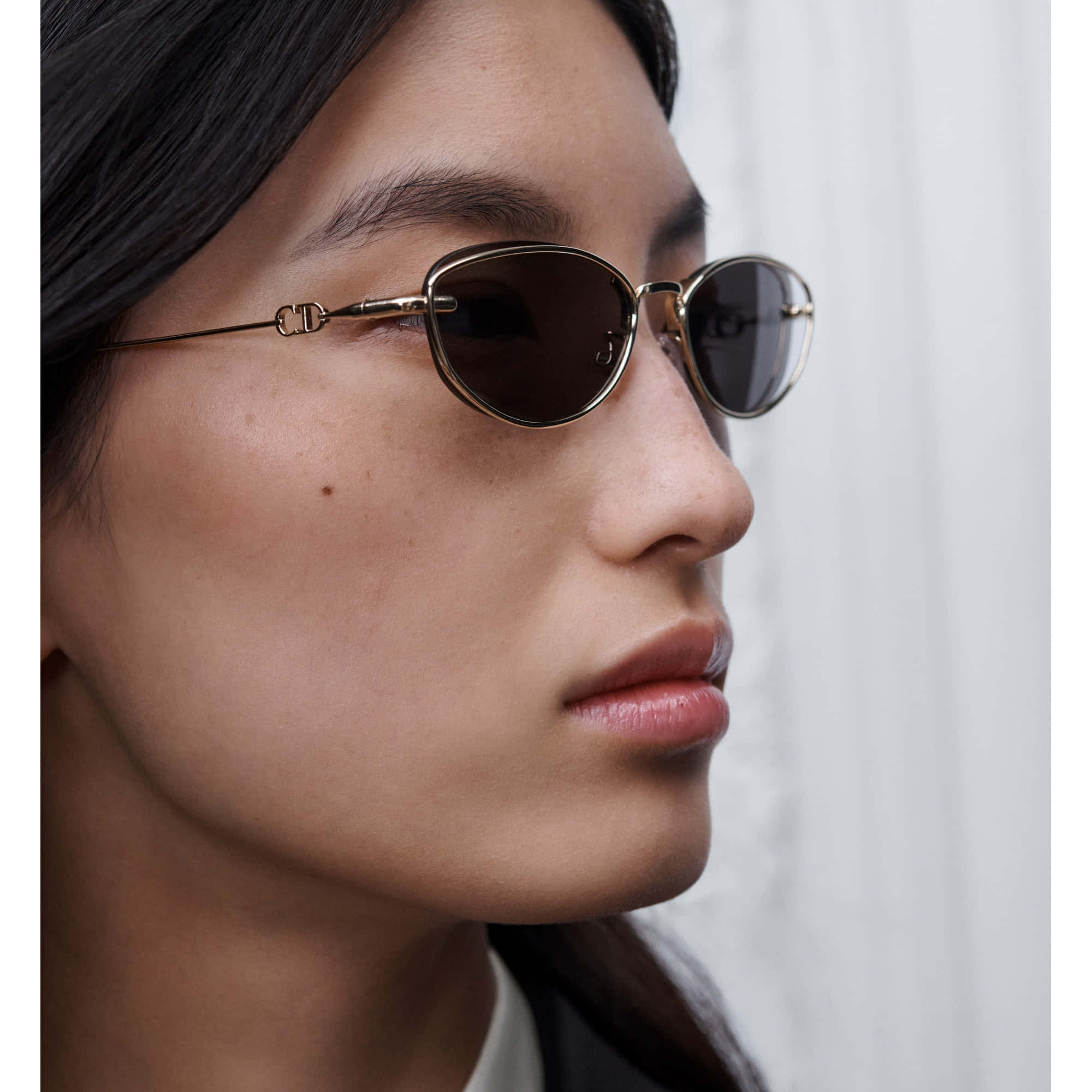 Dior Petit CD B1U Sunglass