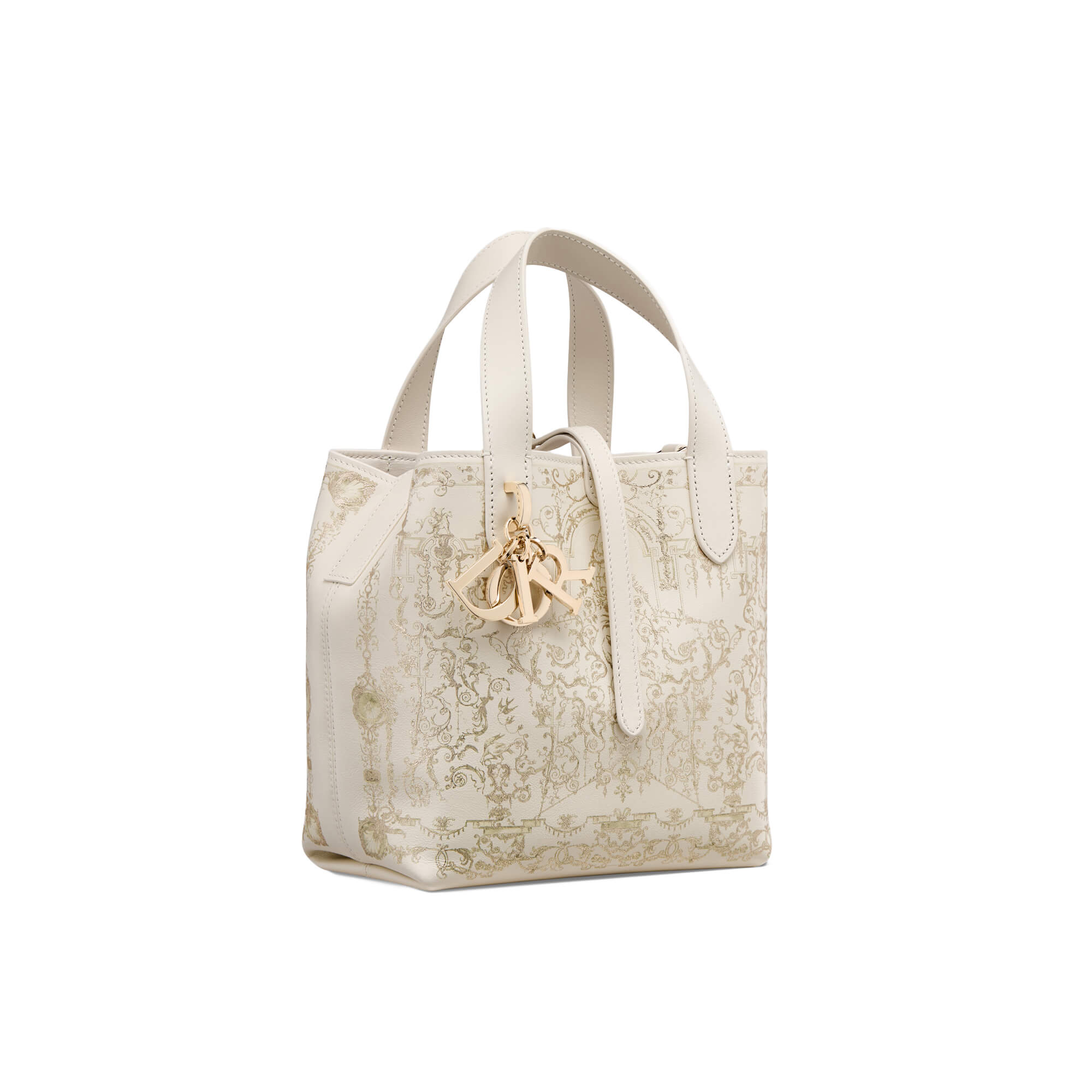 Dior Small Dior Toujours Vertical Tote Bag