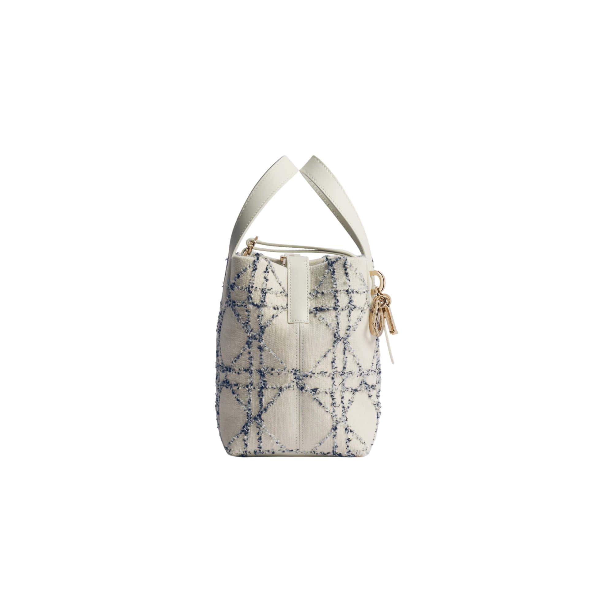 Dior Small Dior Toujours Vertical Tote Bag