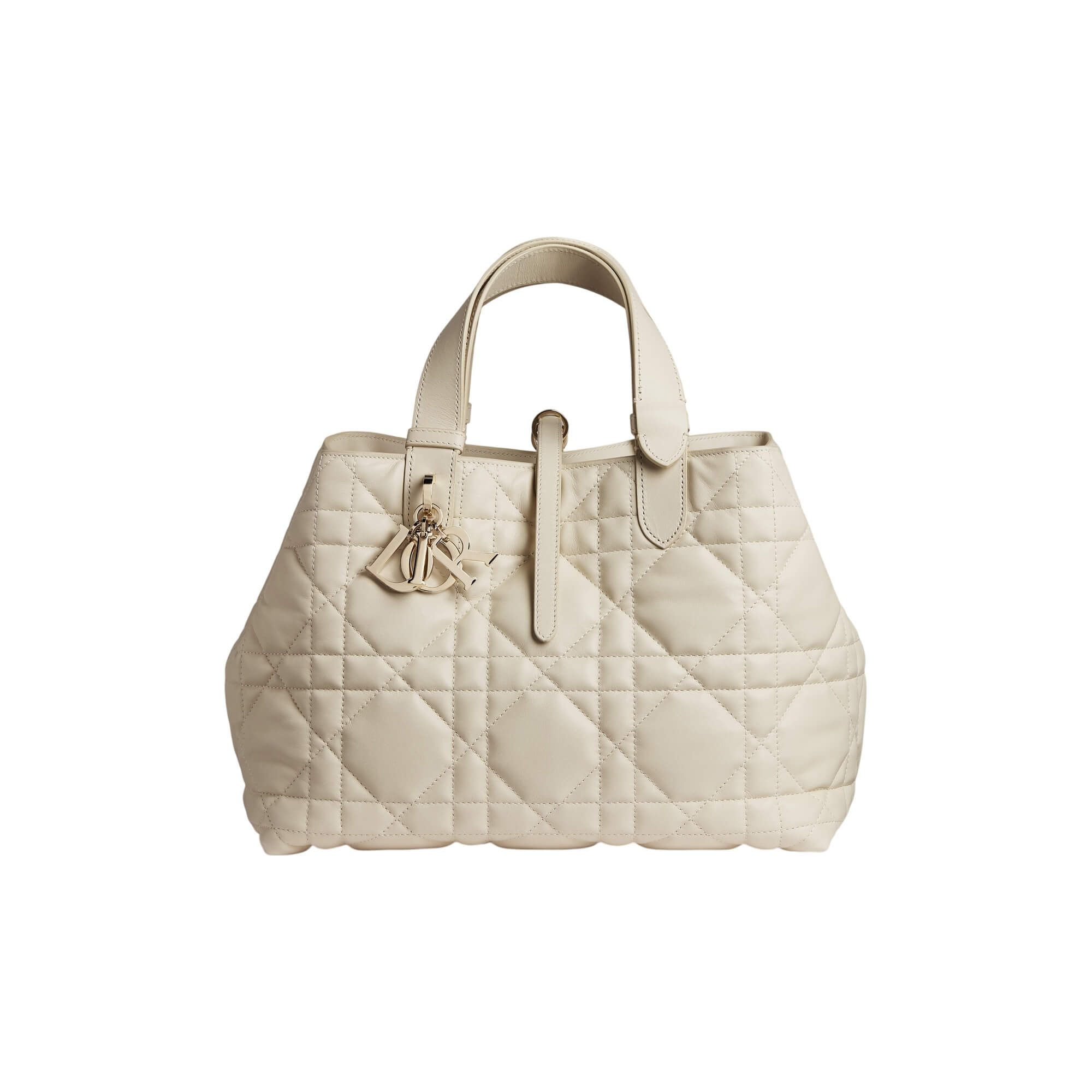 Dior Medium Dior Toujours Bag