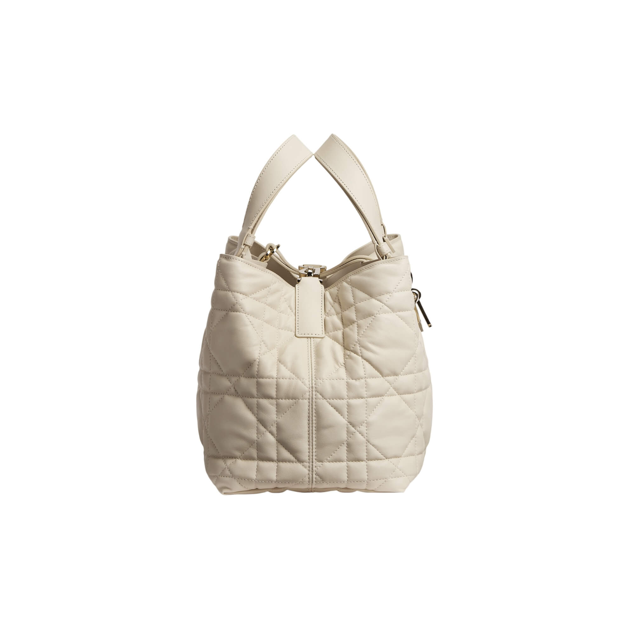 Dior Medium Dior Toujours Bag