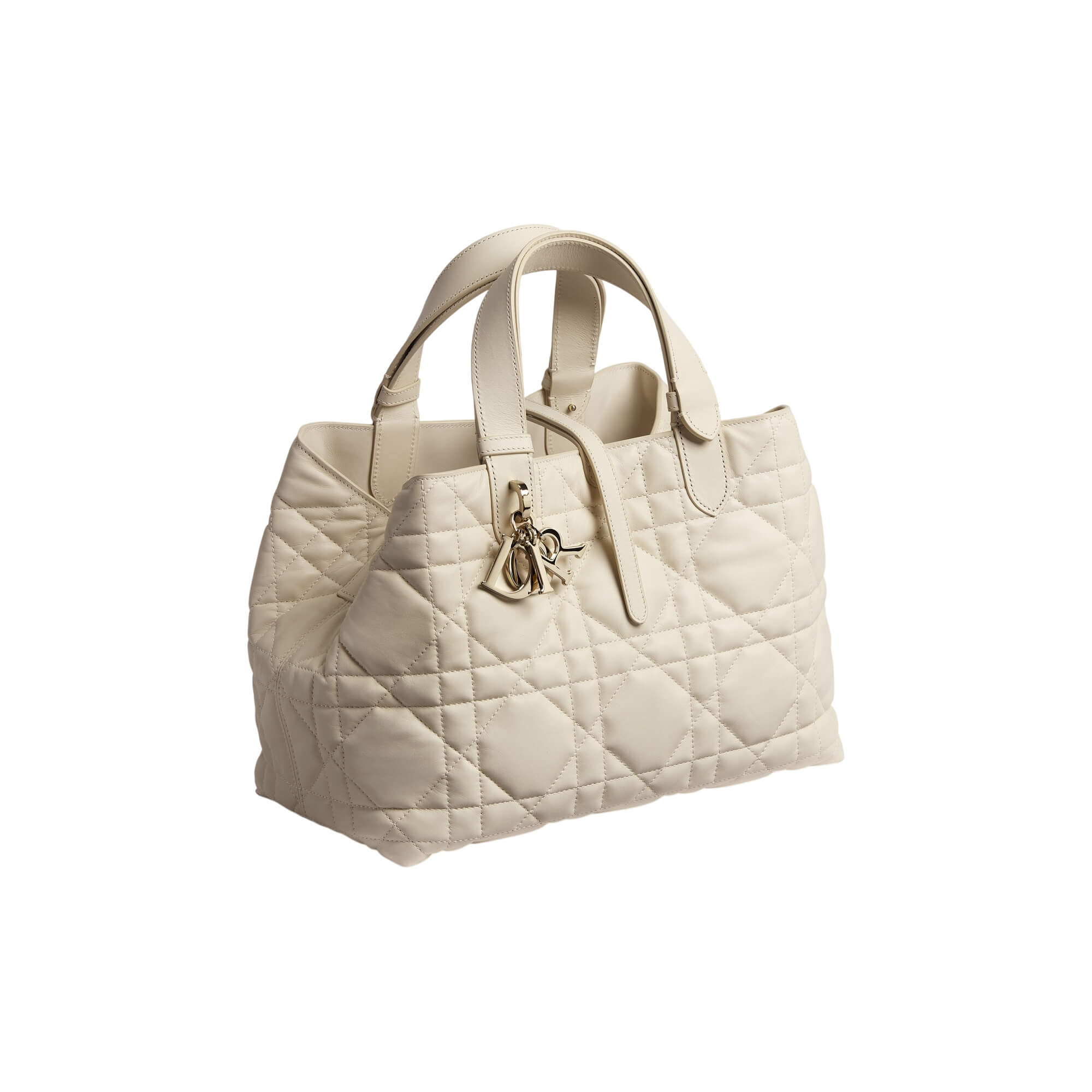 Dior Medium Dior Toujours Bag