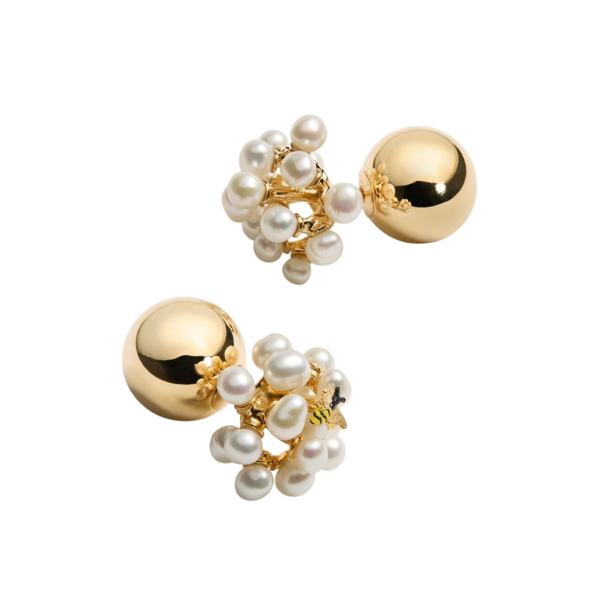 Dior Tribales Earrings