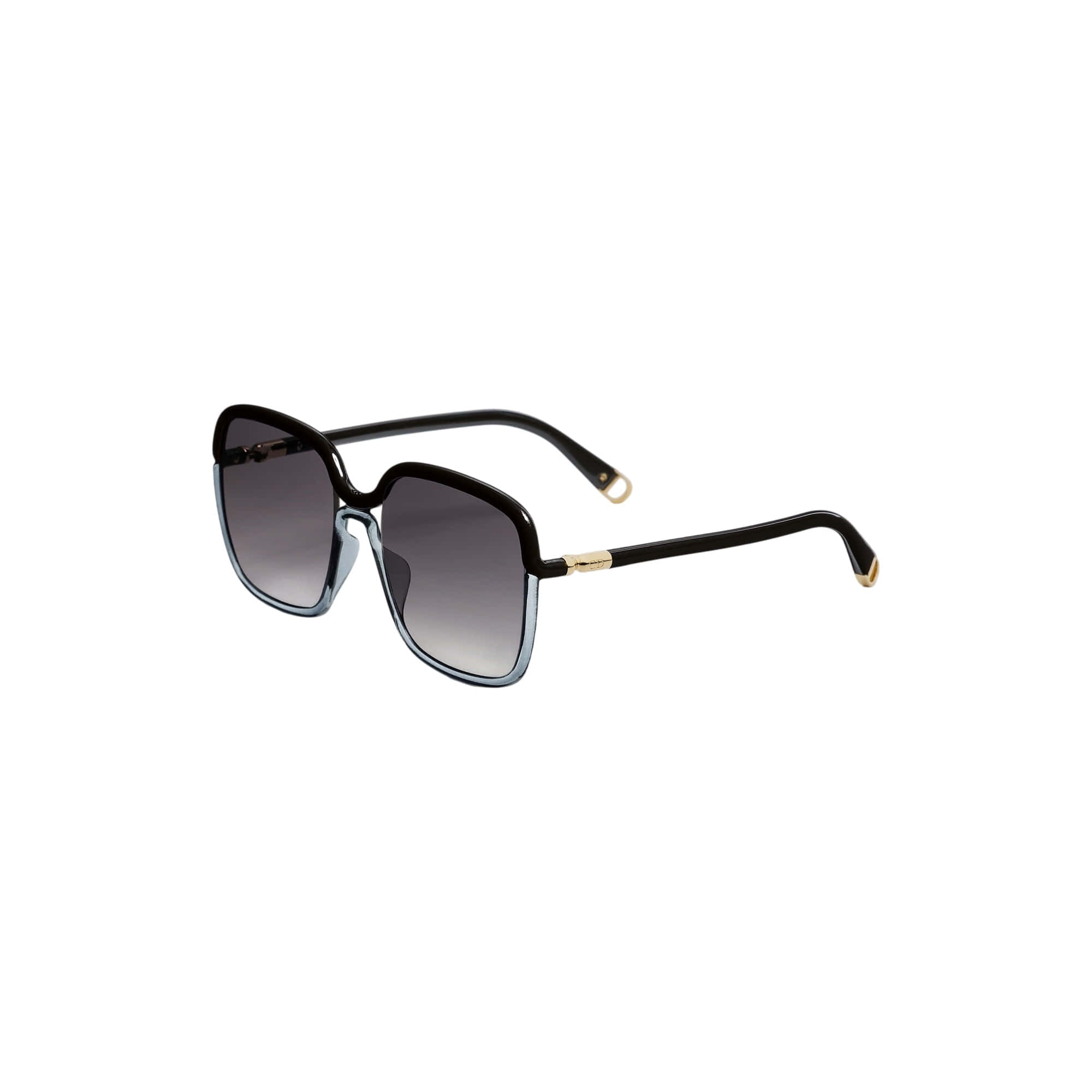 Dior Twincolors S1I