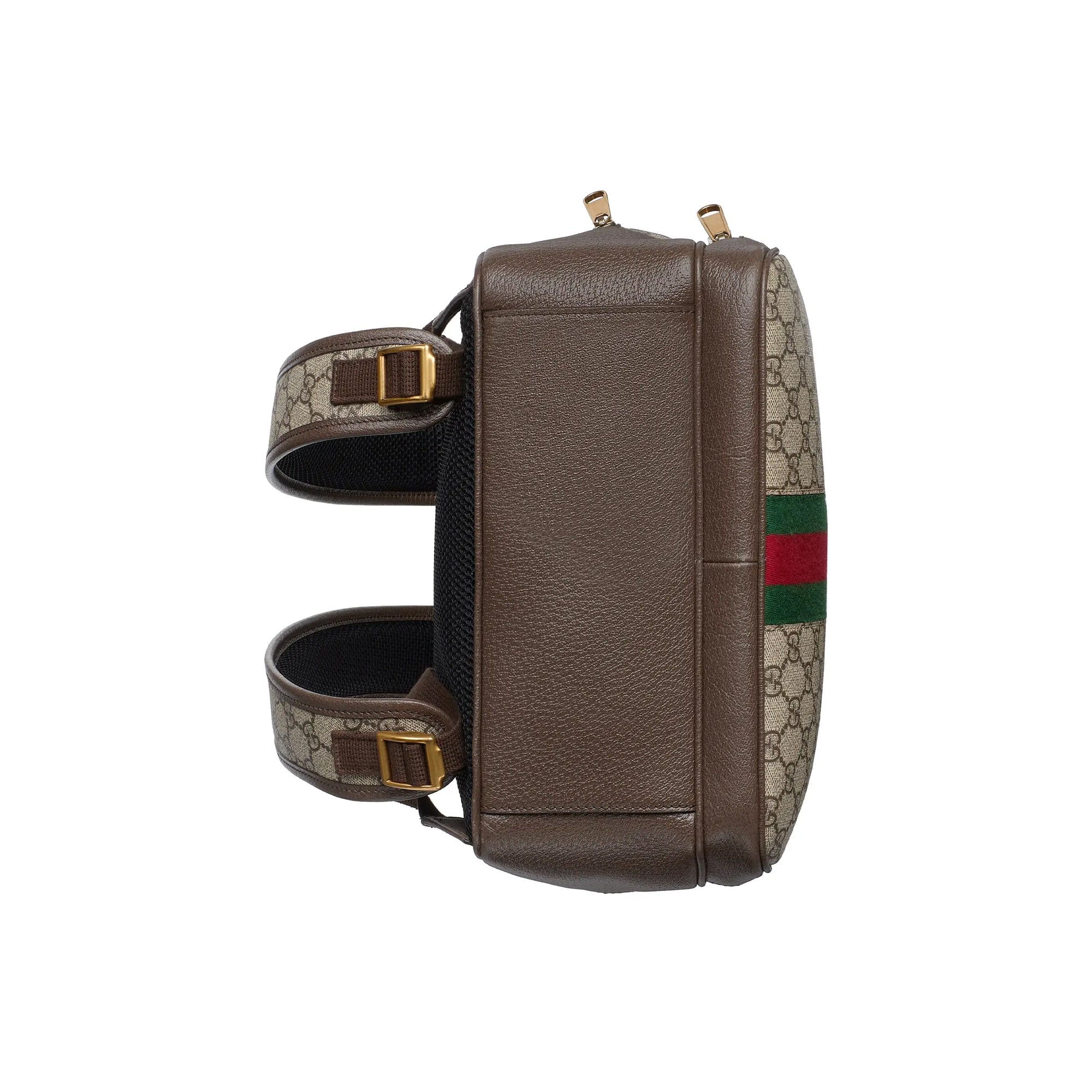 Gucci Ophidia Backpack