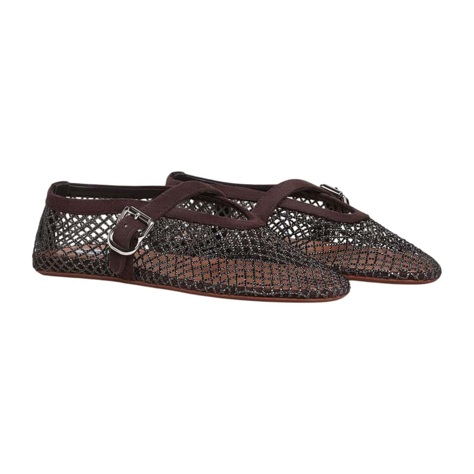 Alaïa Ballet Flats In Strass Fishnet