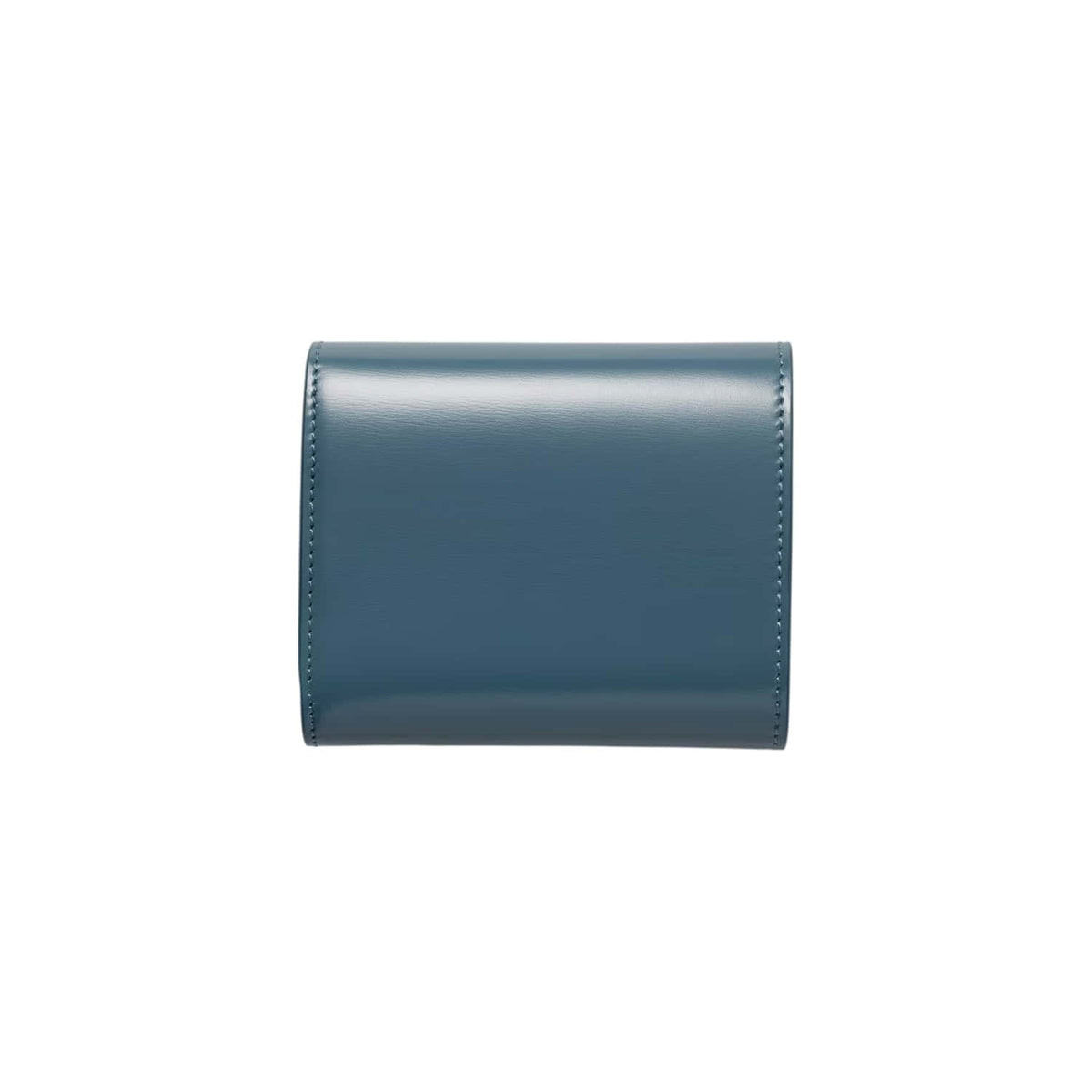Celine Small Flap Wallet Triomphe
