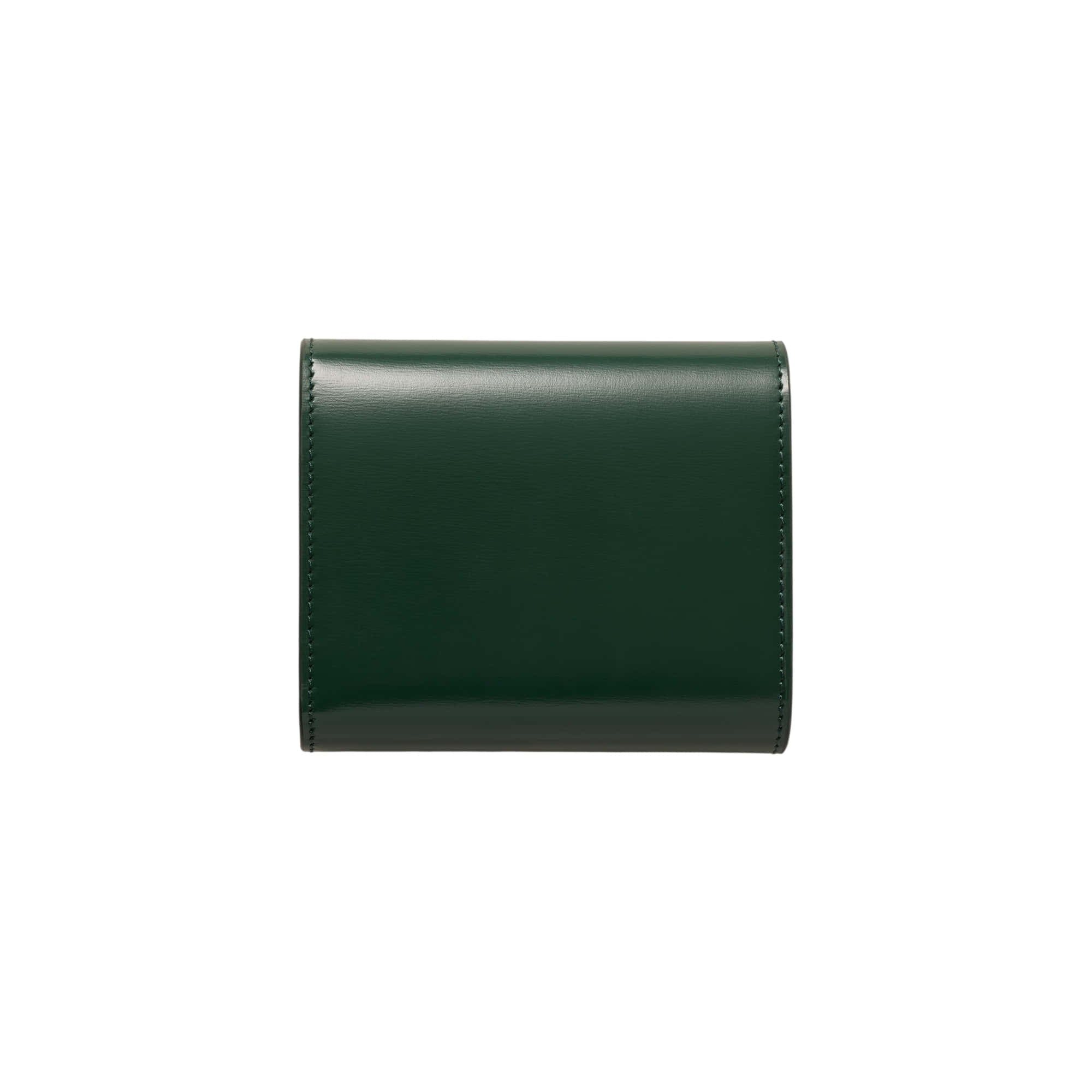 Celine Small Flap Wallet Triomphe