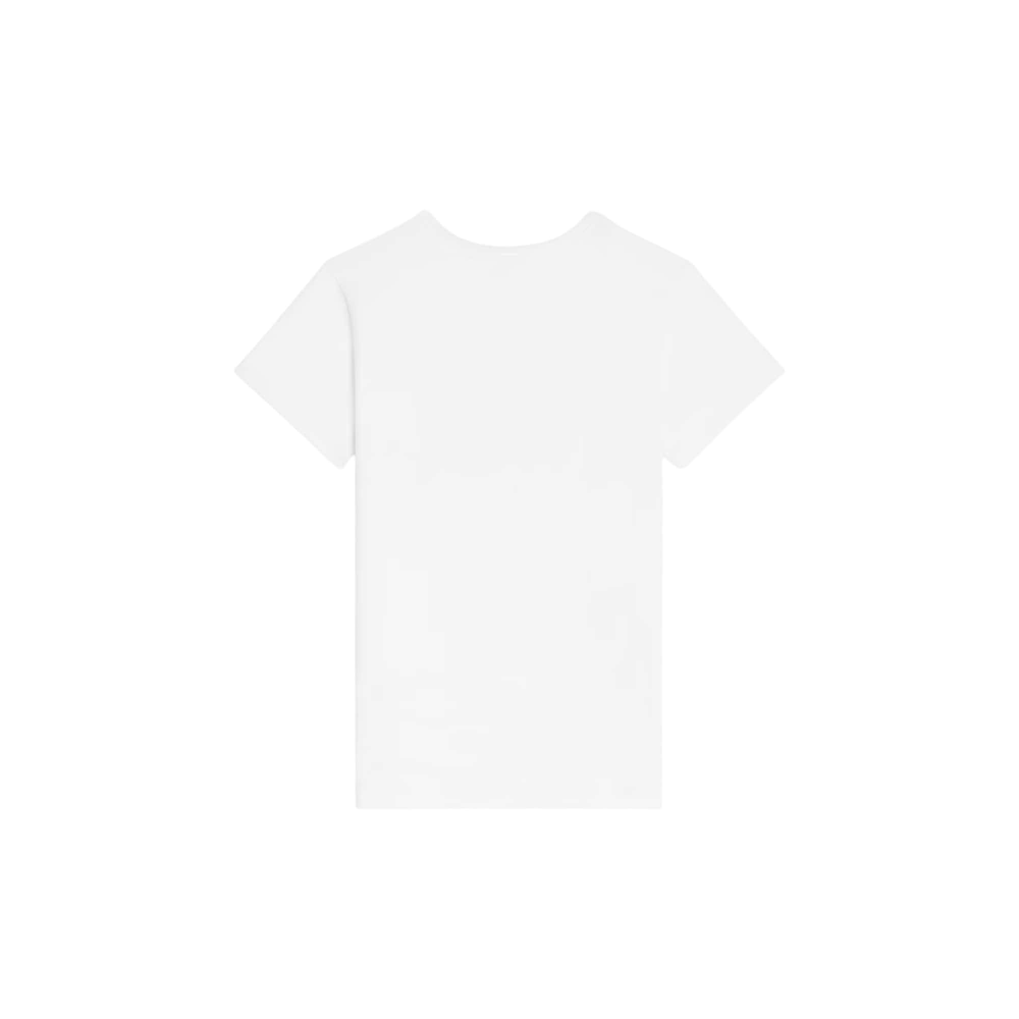 Celine T Shirt