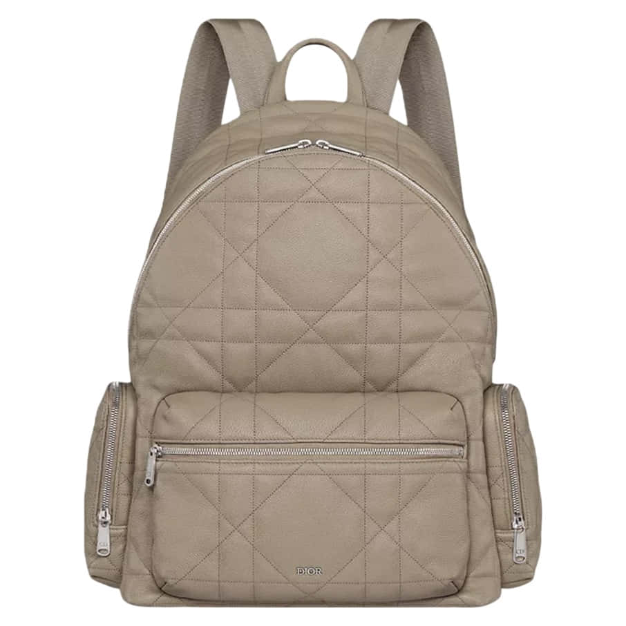Dior Backpack