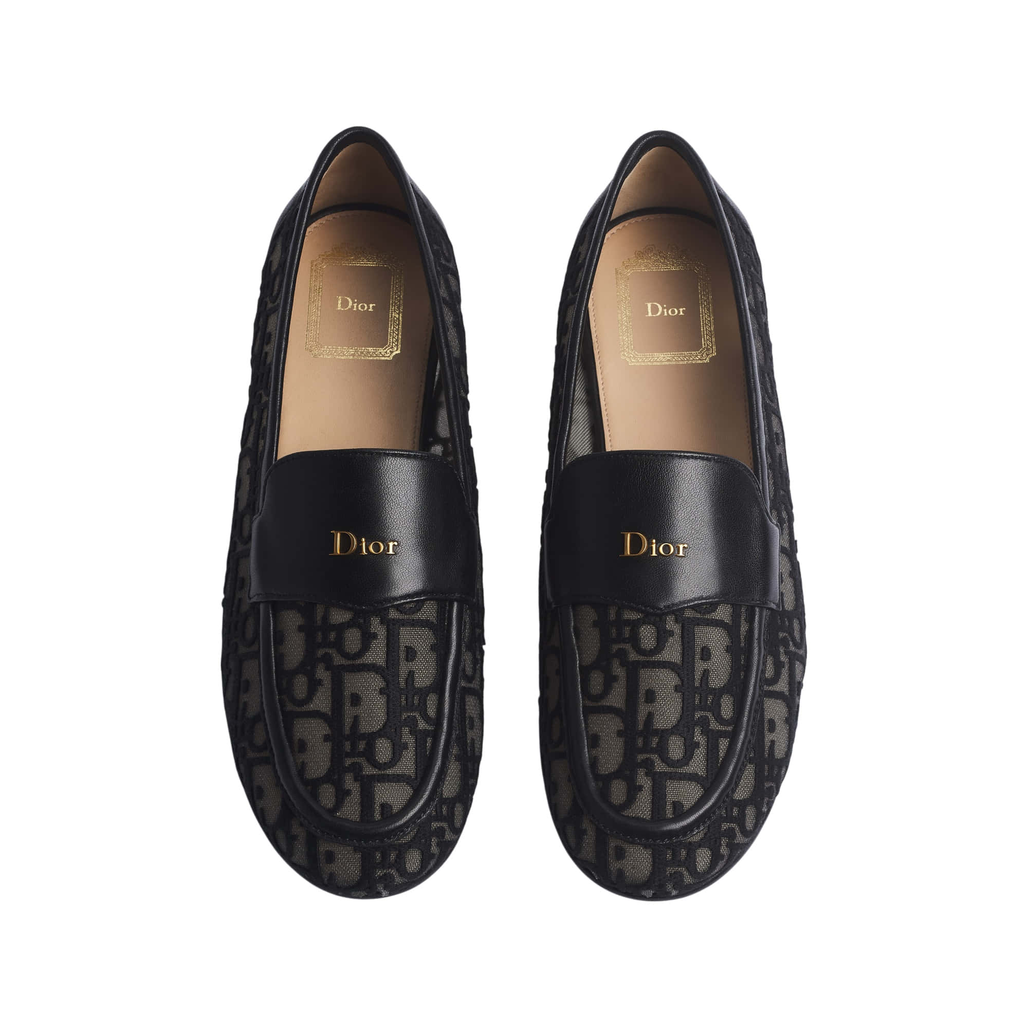Dior Cadence Loafer