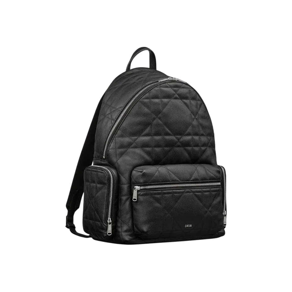 Dior Backpack