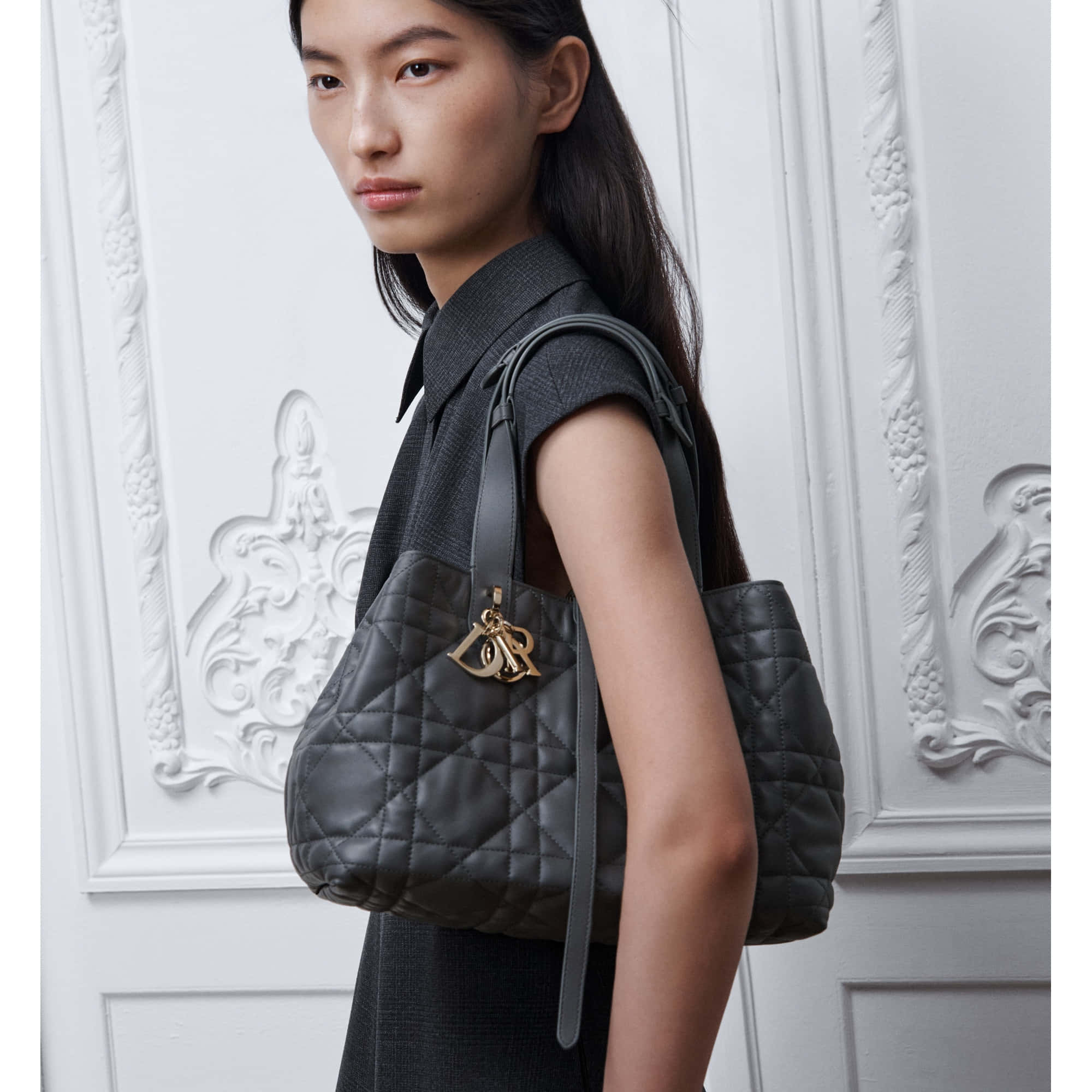 Dior Toujours Medium Bag