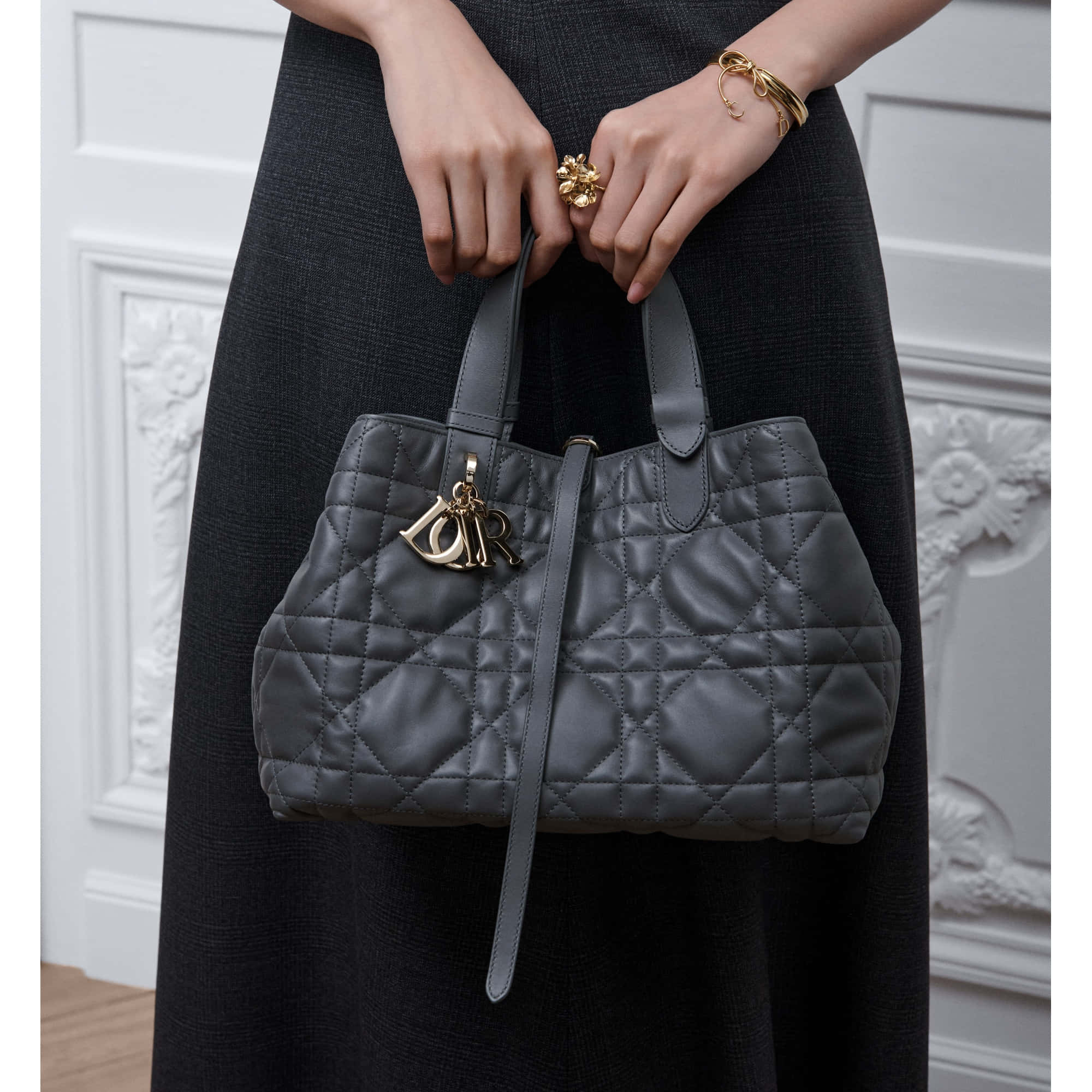 Dior Toujours Medium Bag