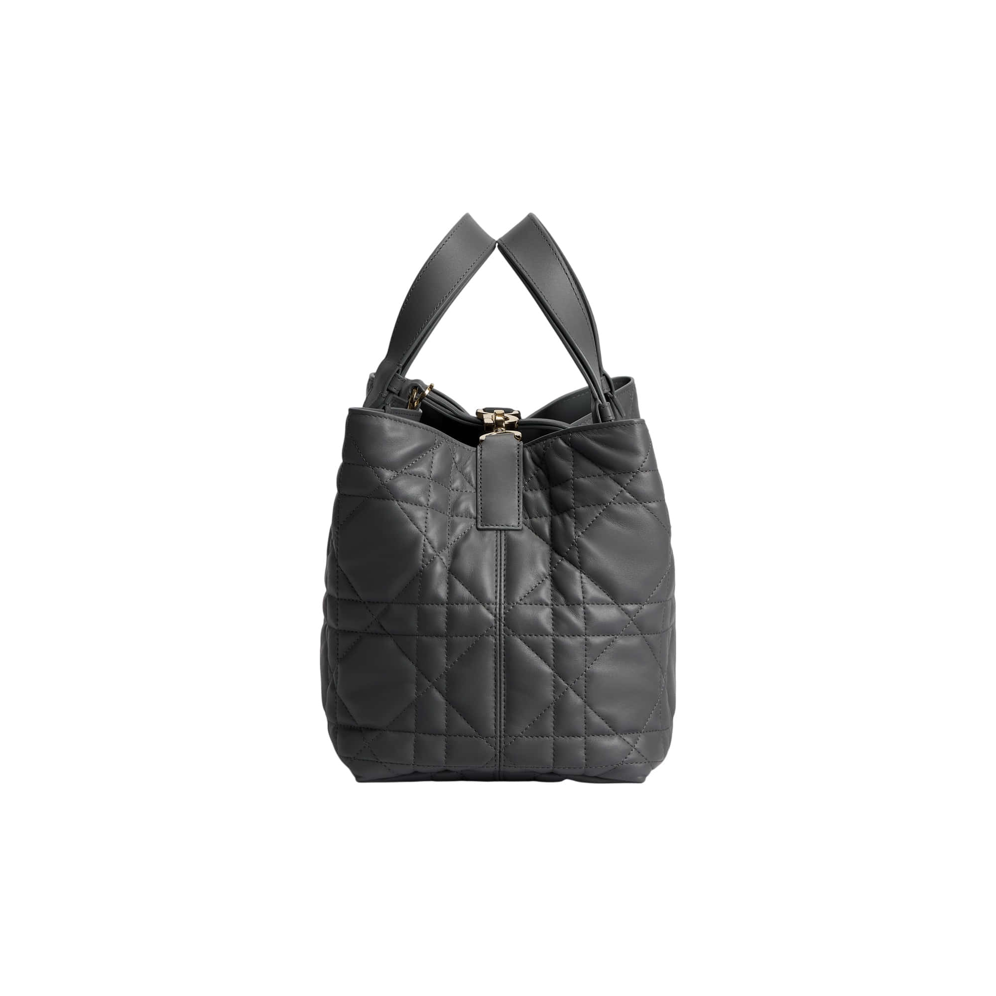 Dior Toujours Medium Bag
