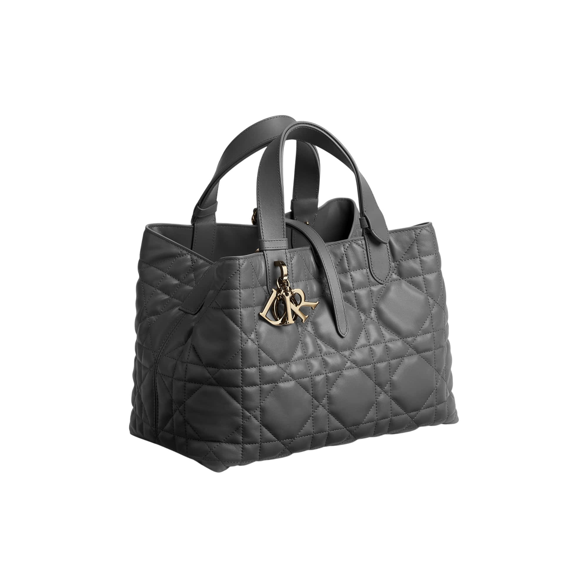 Dior Toujours Medium Bag