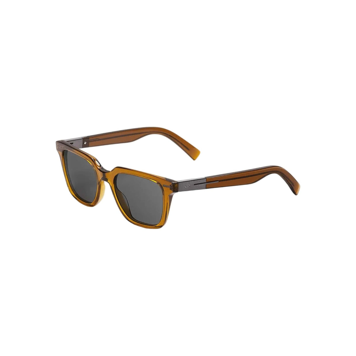 Dior Diorblacksuit S23I