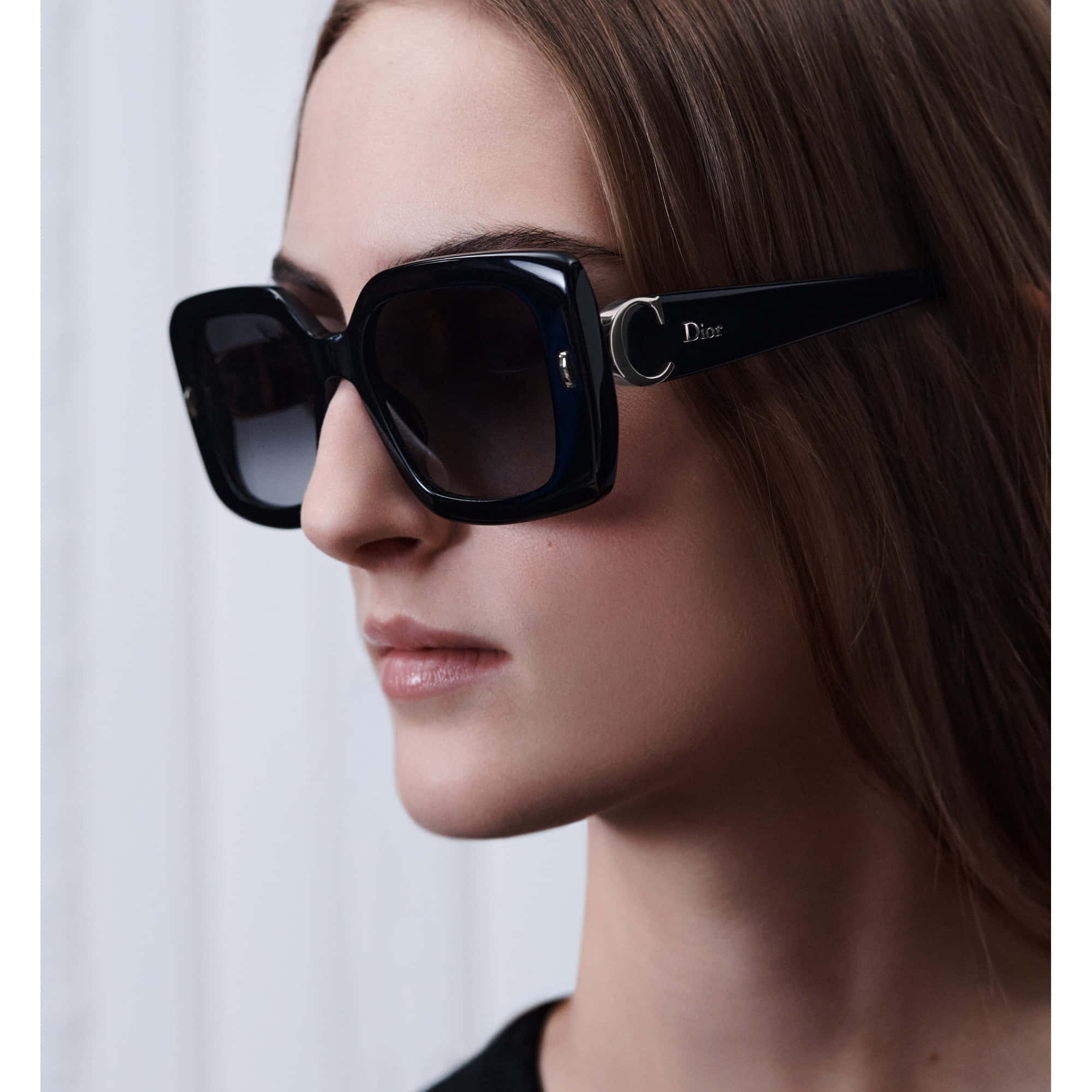 Dior Initials S2I Sunglasses