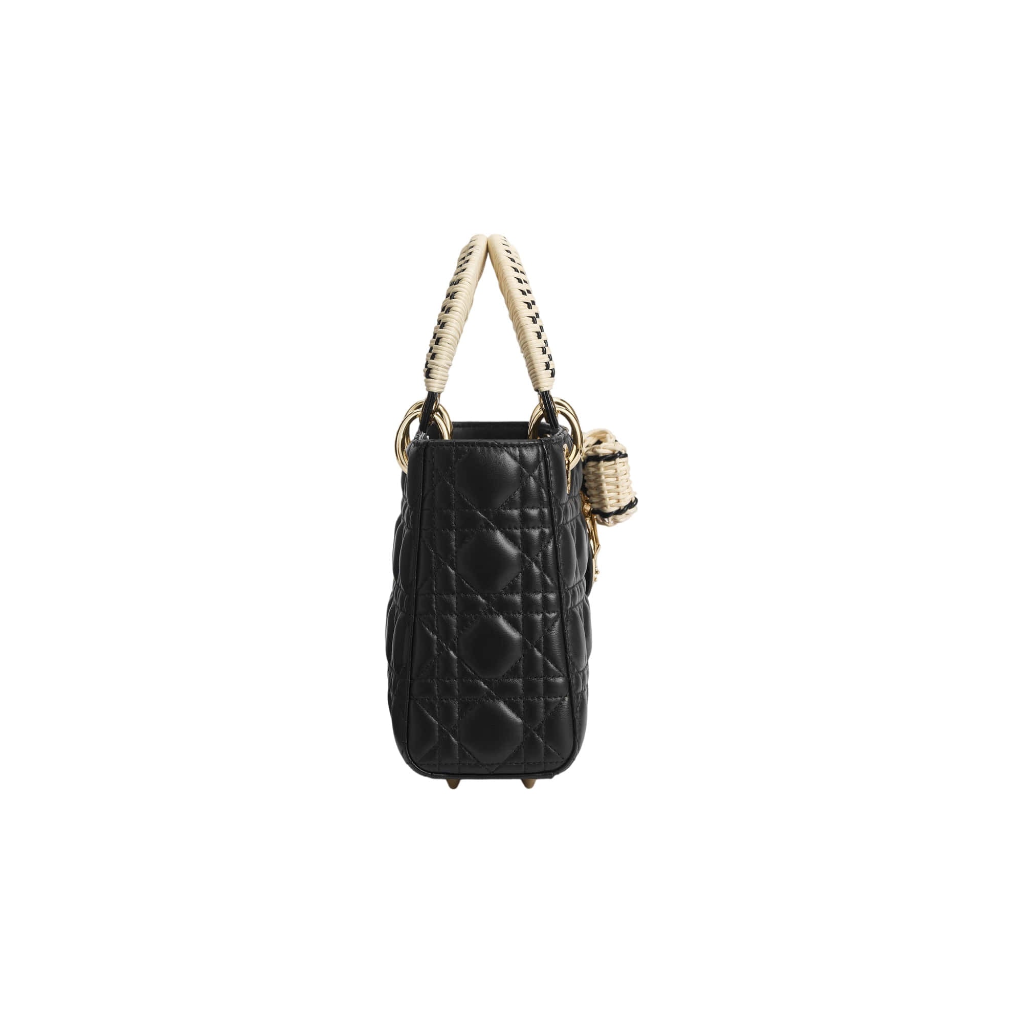 Dior Lady Dior Dioriviera Small Handbag
