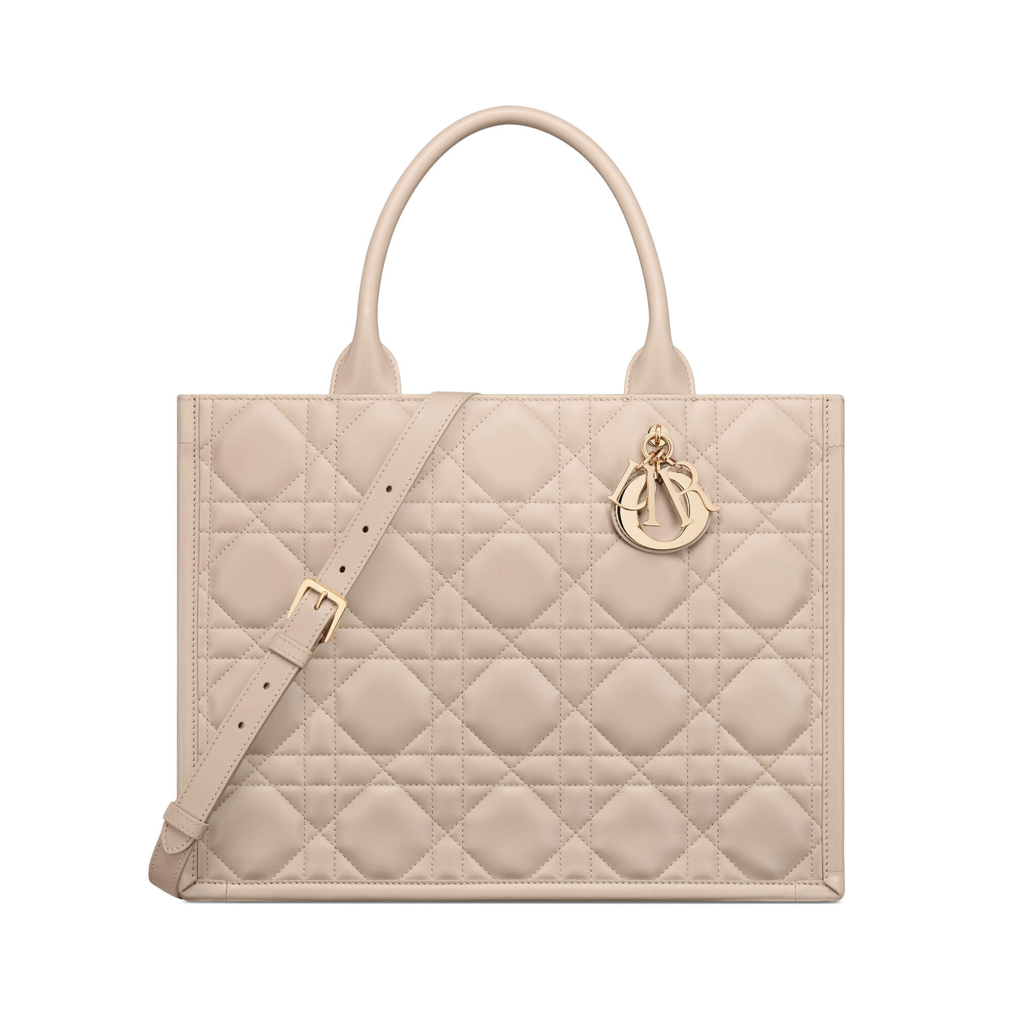 Dior Medium Book Tote