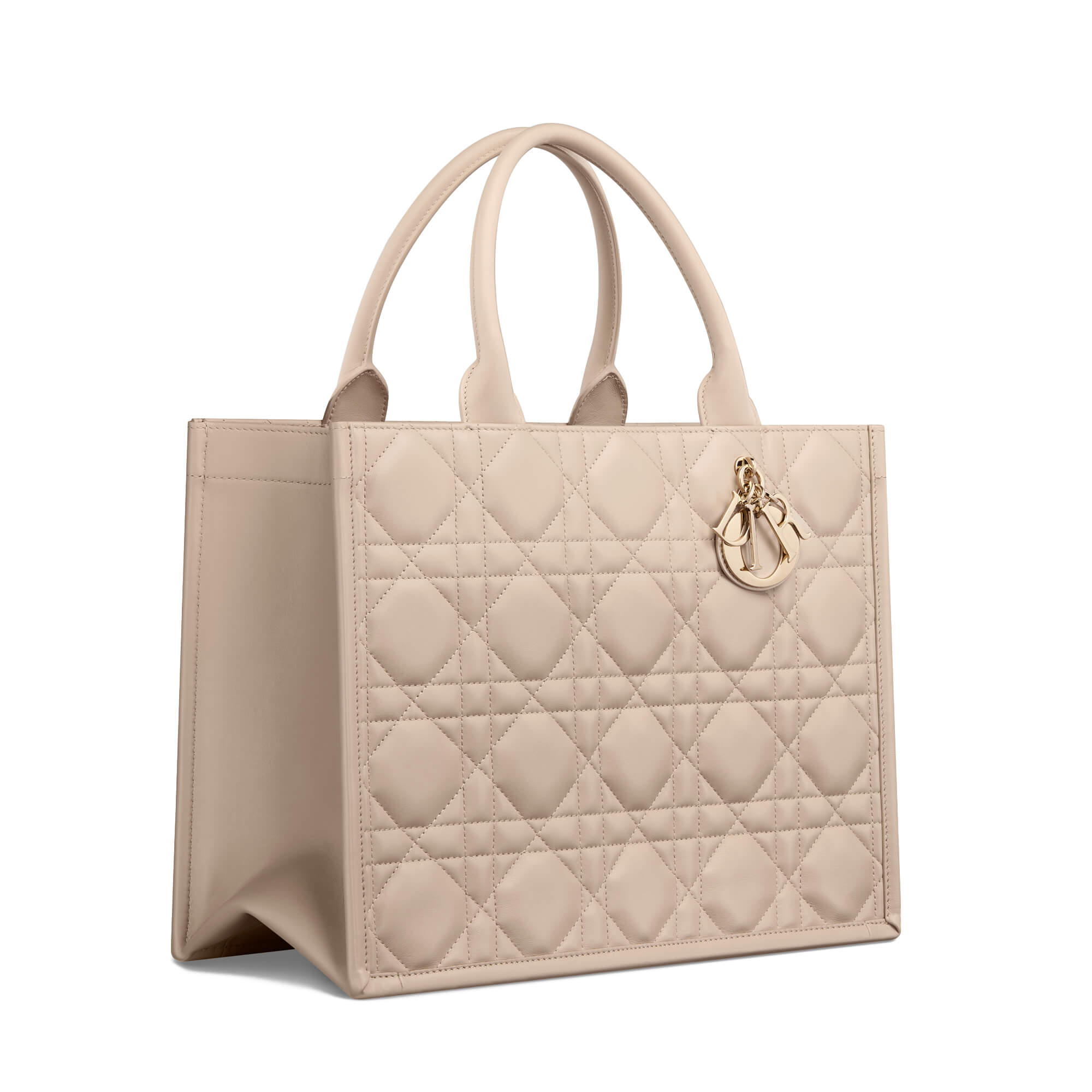 Dior Medium Book Tote