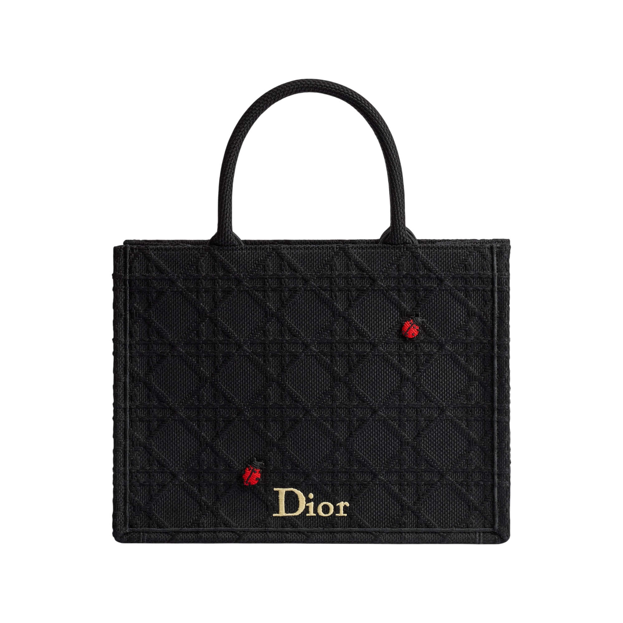 Dior Medium Book Tote
