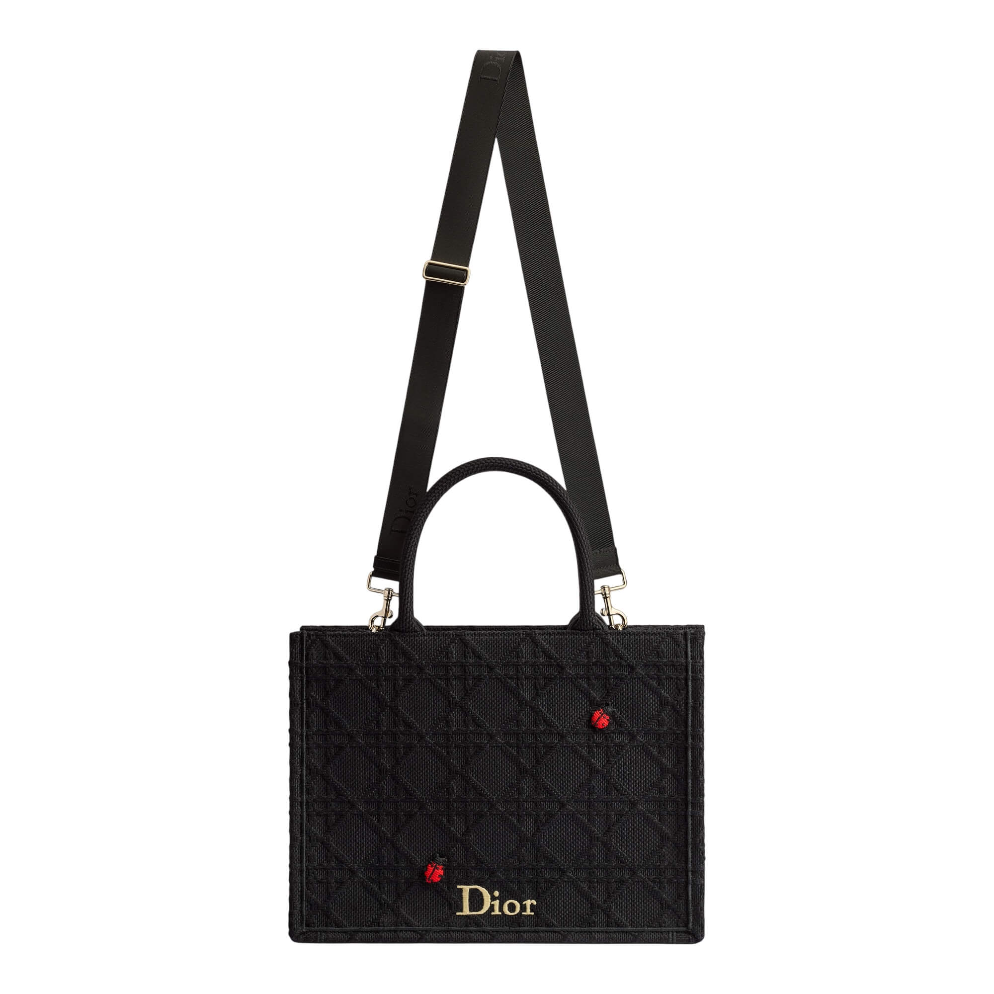 Dior Medium Book Tote
