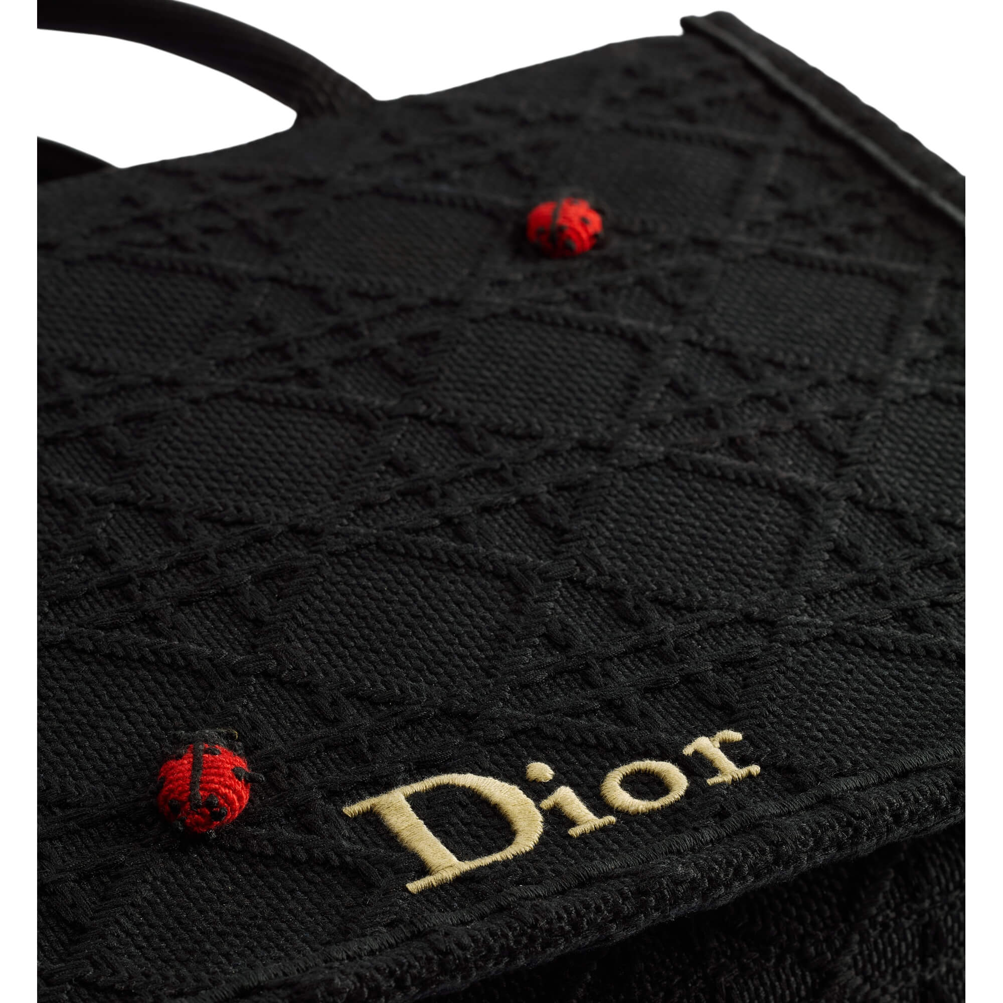 Dior Medium Book Tote