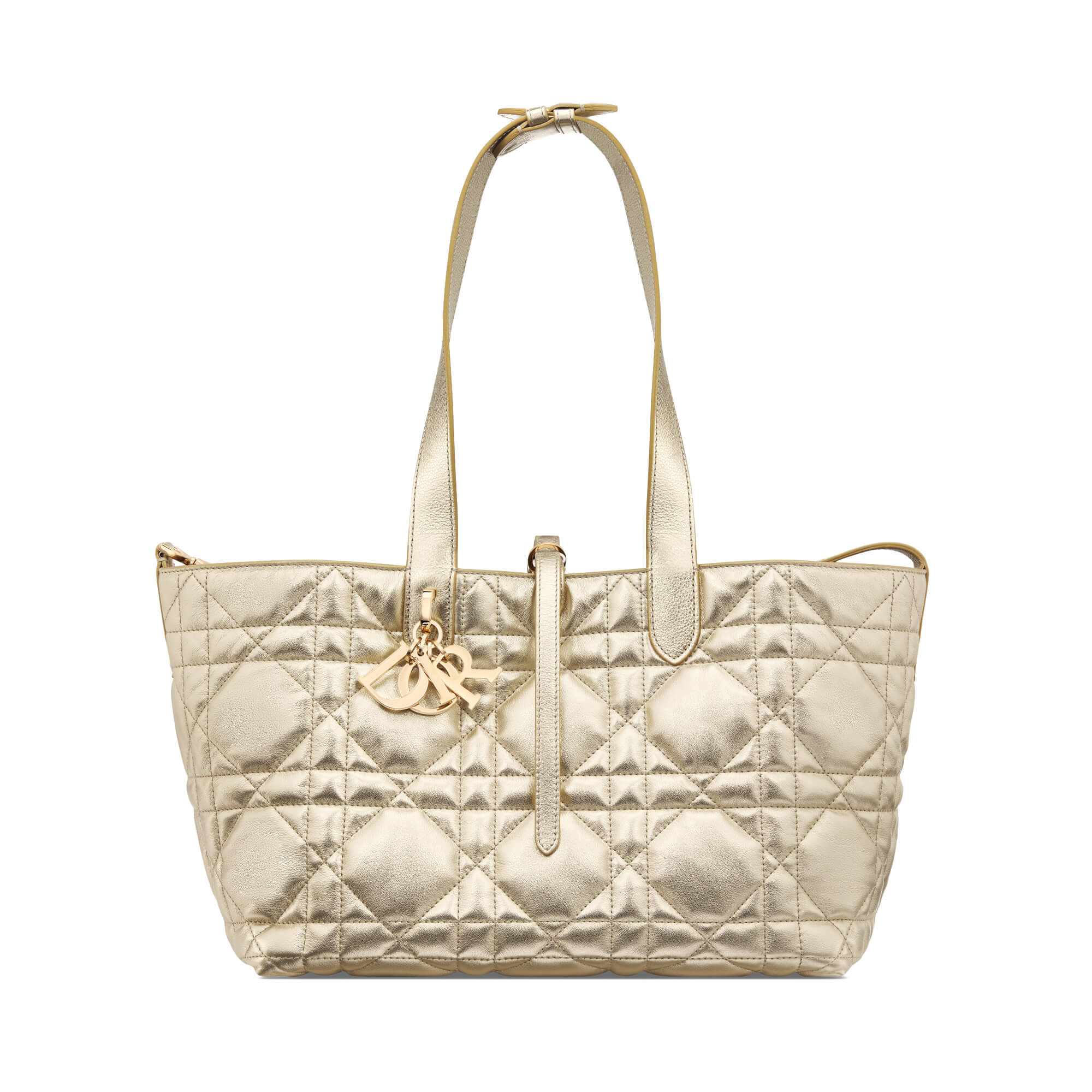 Dior Medium Dior Toujours Bag